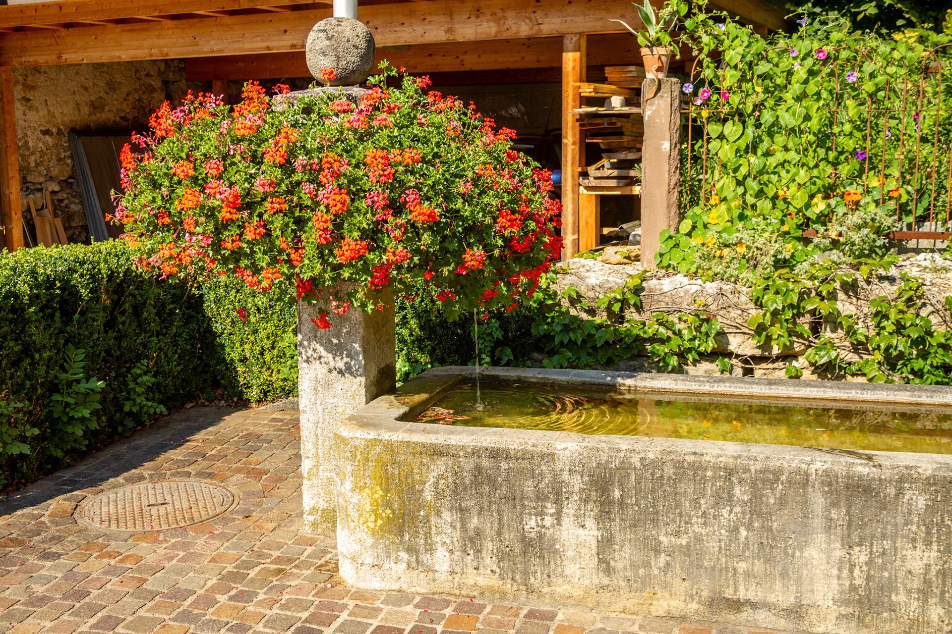 Dorfbrunnen Hinterdorf