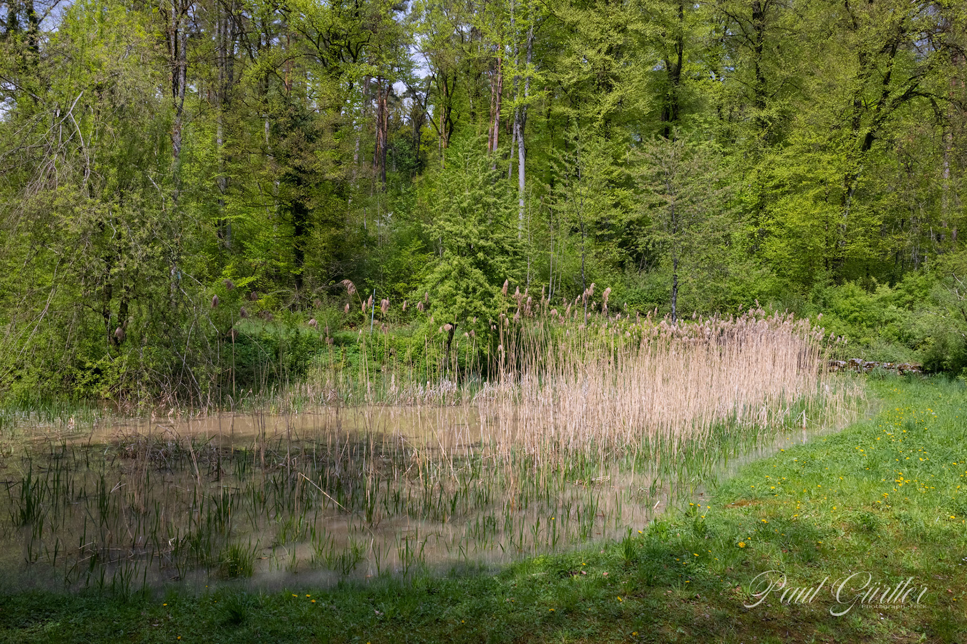 Ritzleteweiher