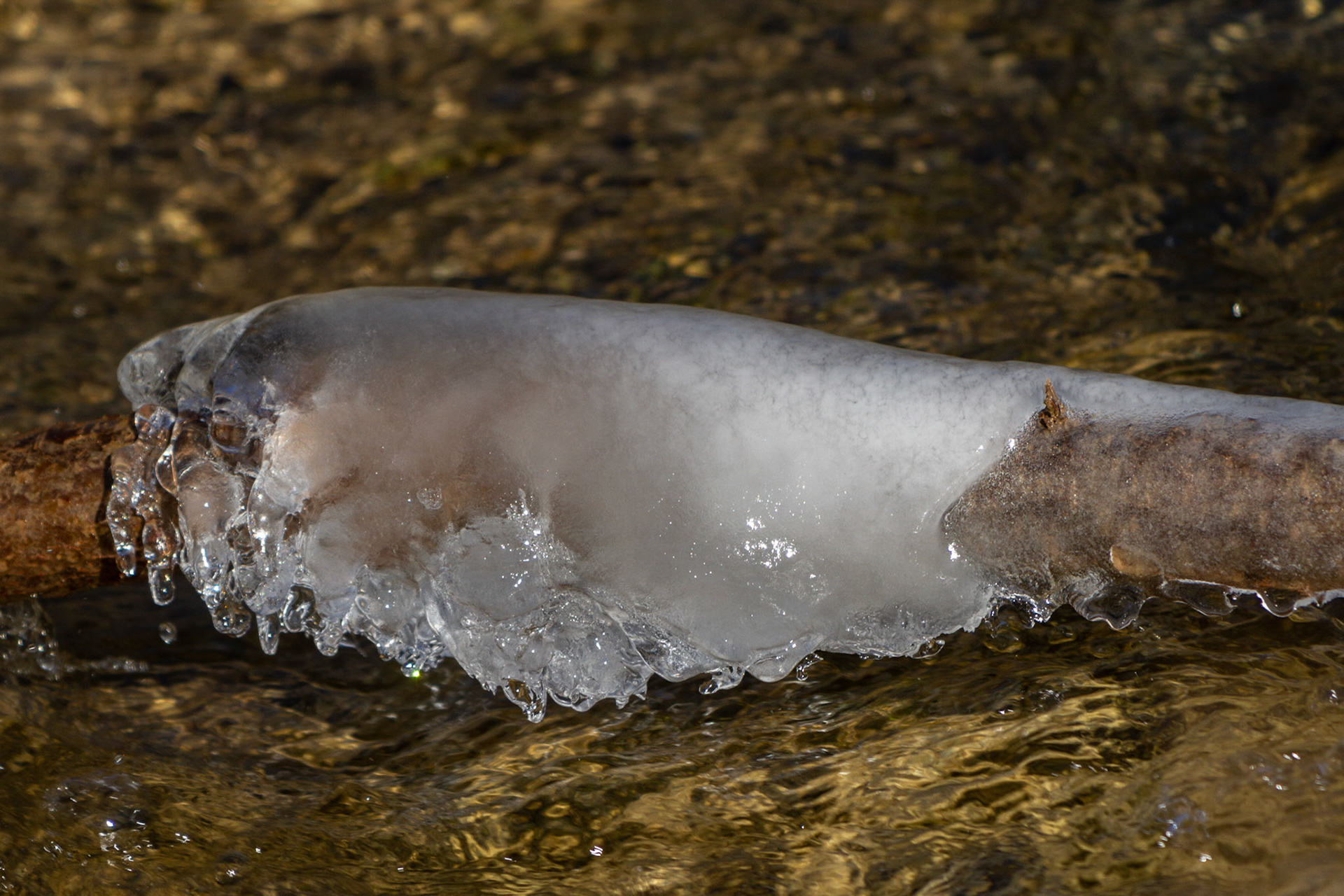 Sissle mit Eisskulpturen
