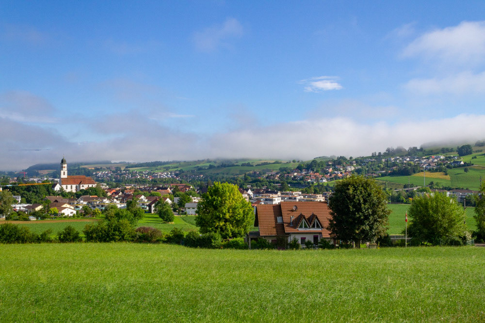 Morgennebel über Frick
