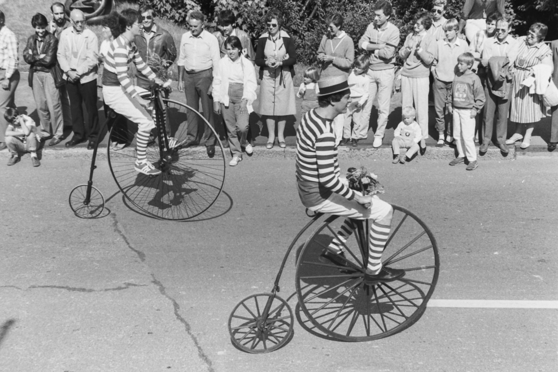 Saurierfest 1985