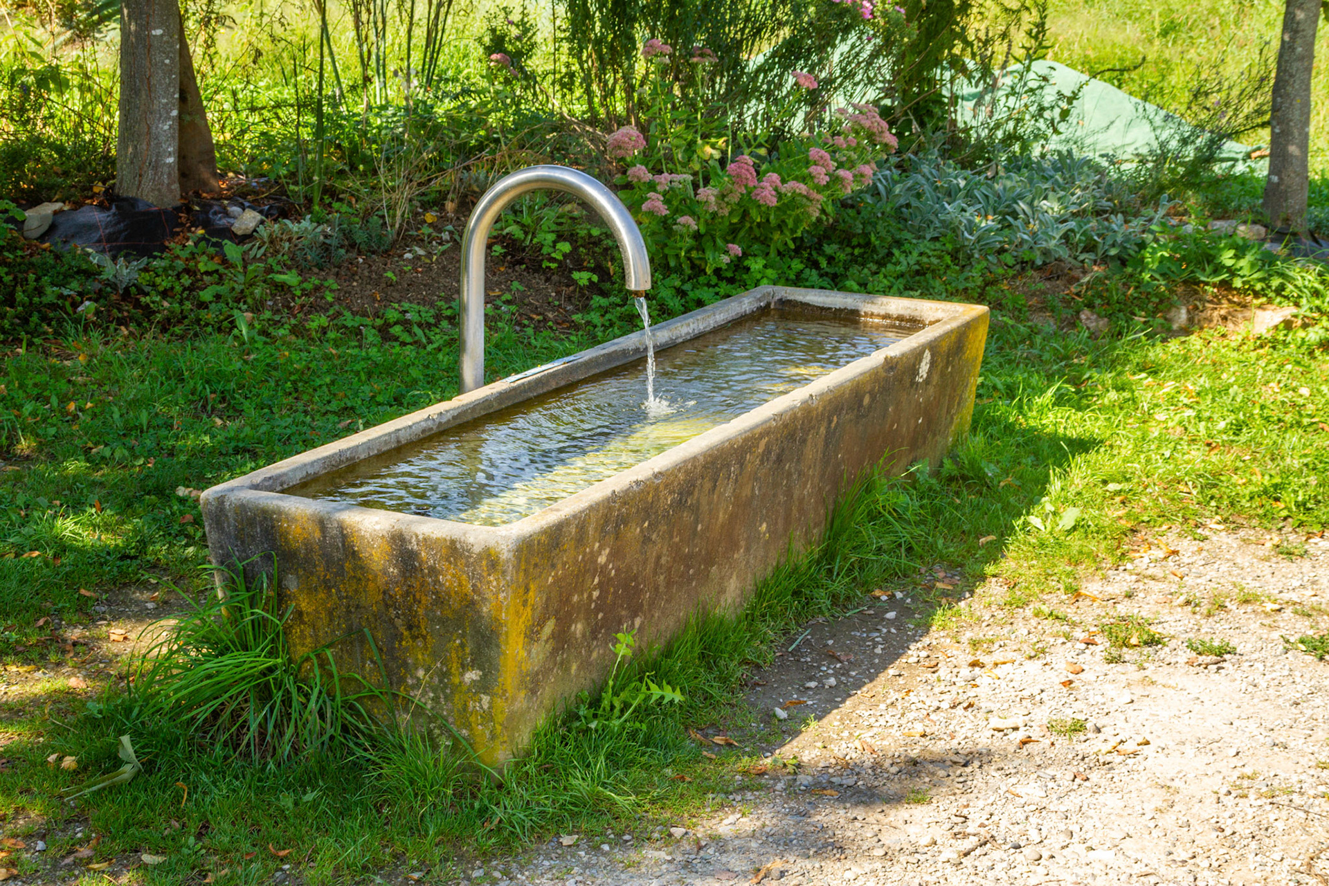 Brunnen Schranke