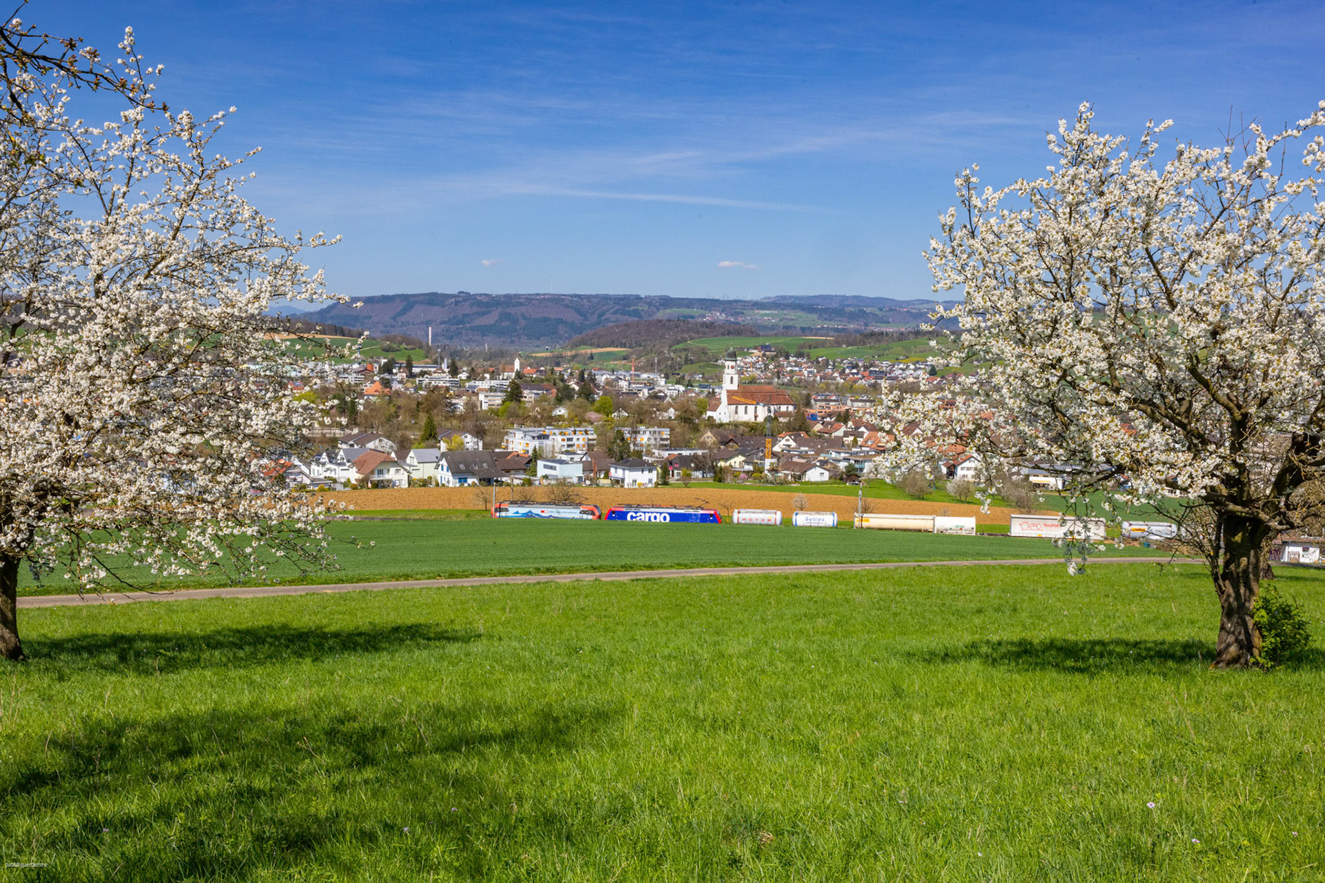 Chriesibluescht am Kornberg