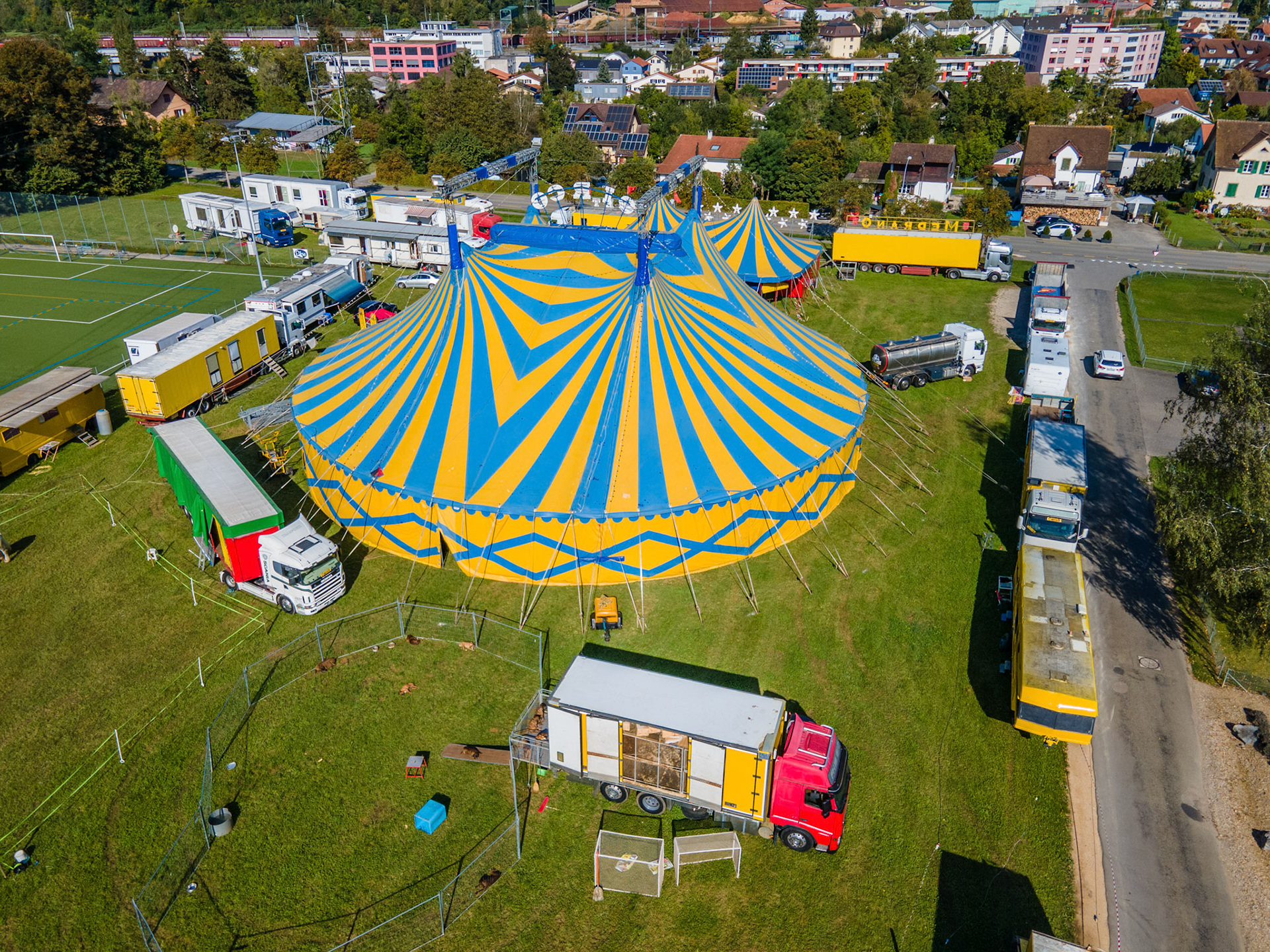 Circus Medrano