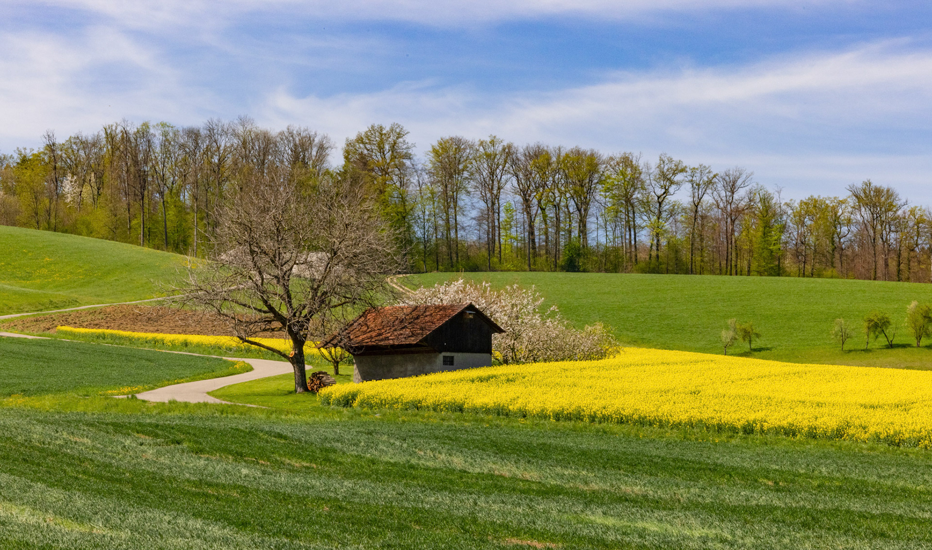 Scheune am Leischberg