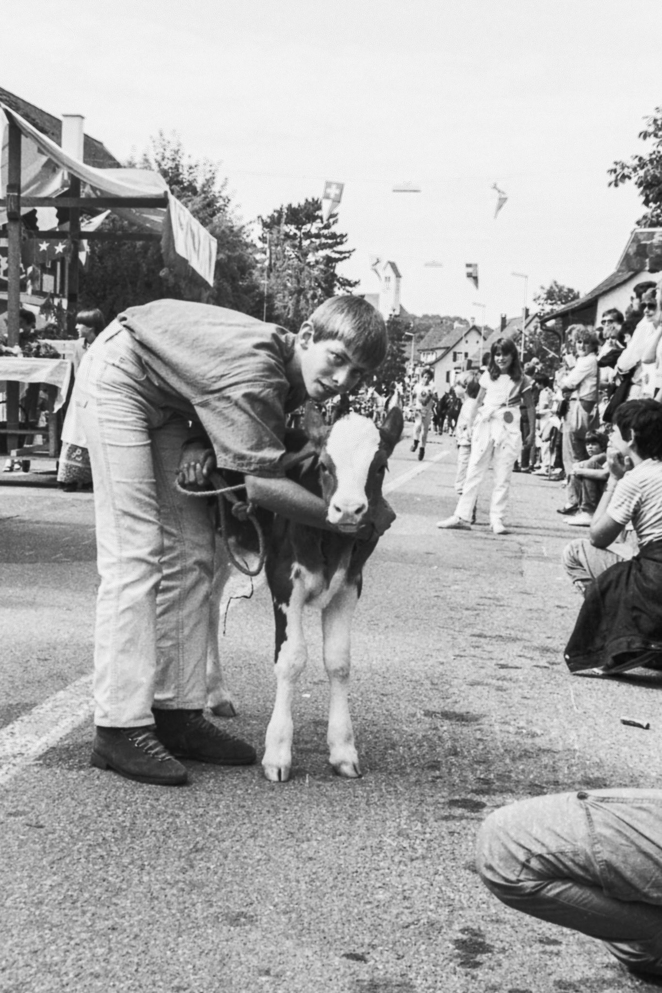 Saurierfest 1985