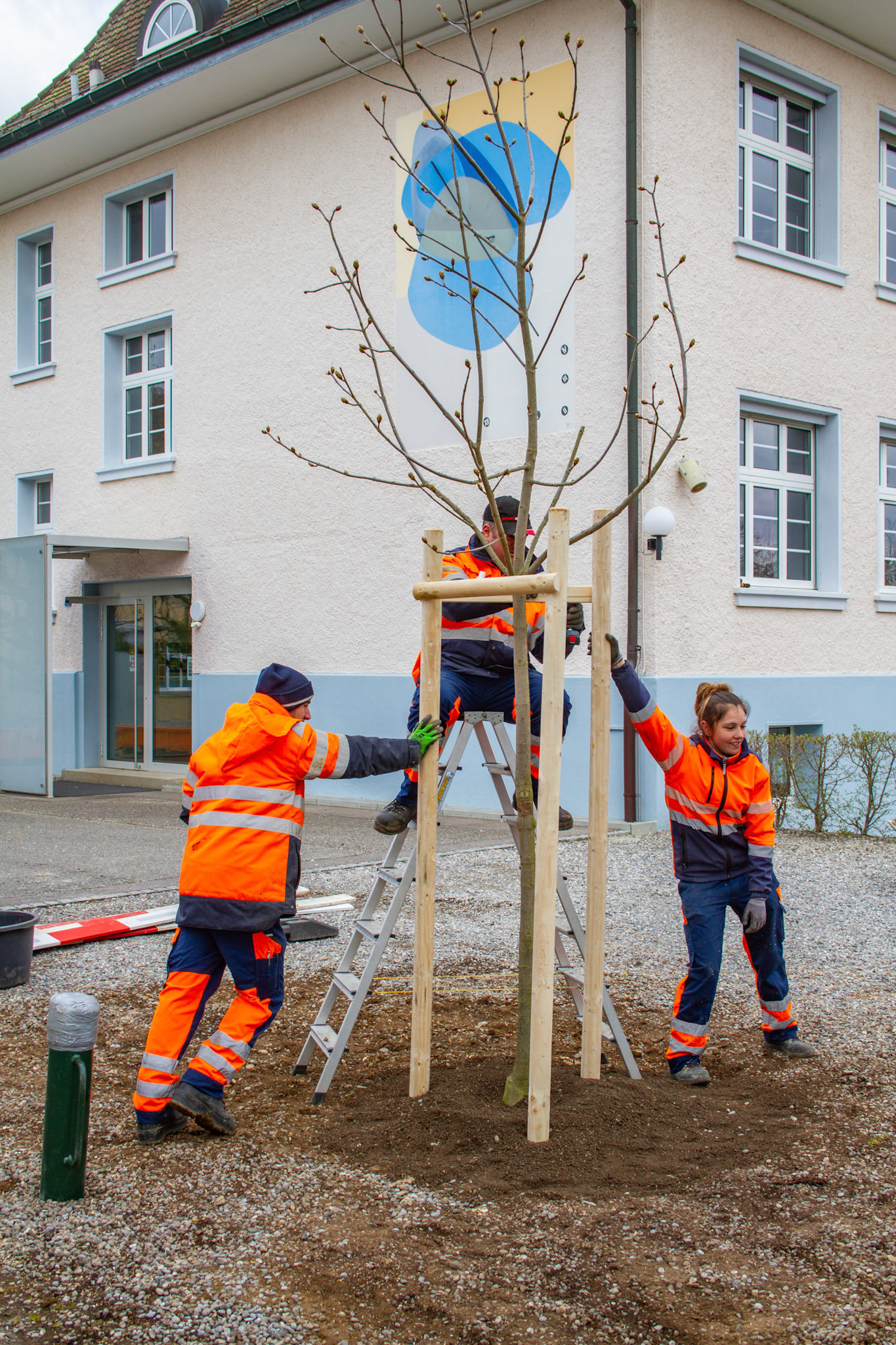 Baumpflanzaktion Schule Dorf