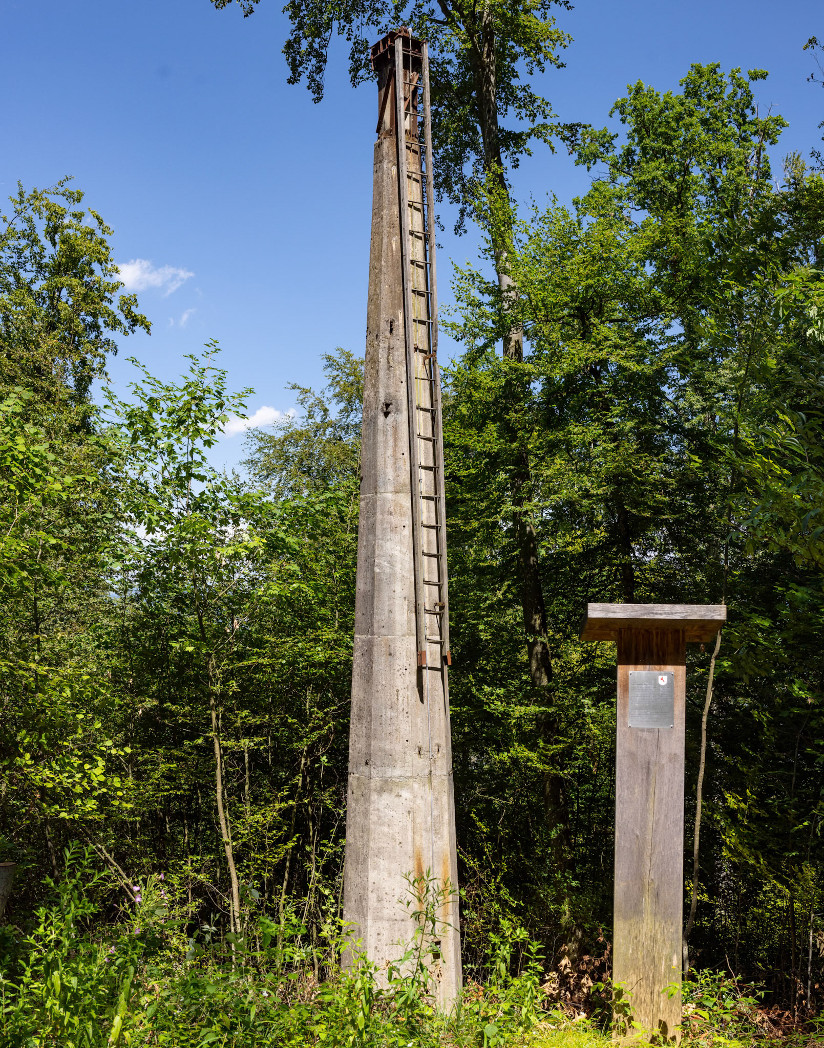 Seilbahnmasten der Eisenerz-Lohrenbahn