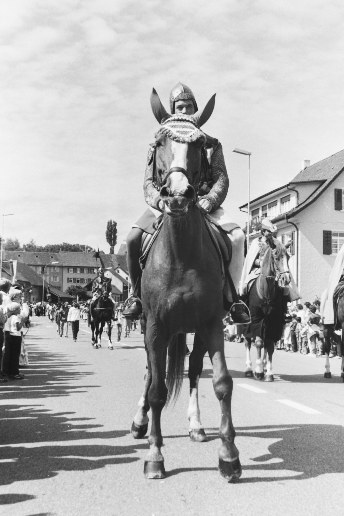Saurierfest 1985