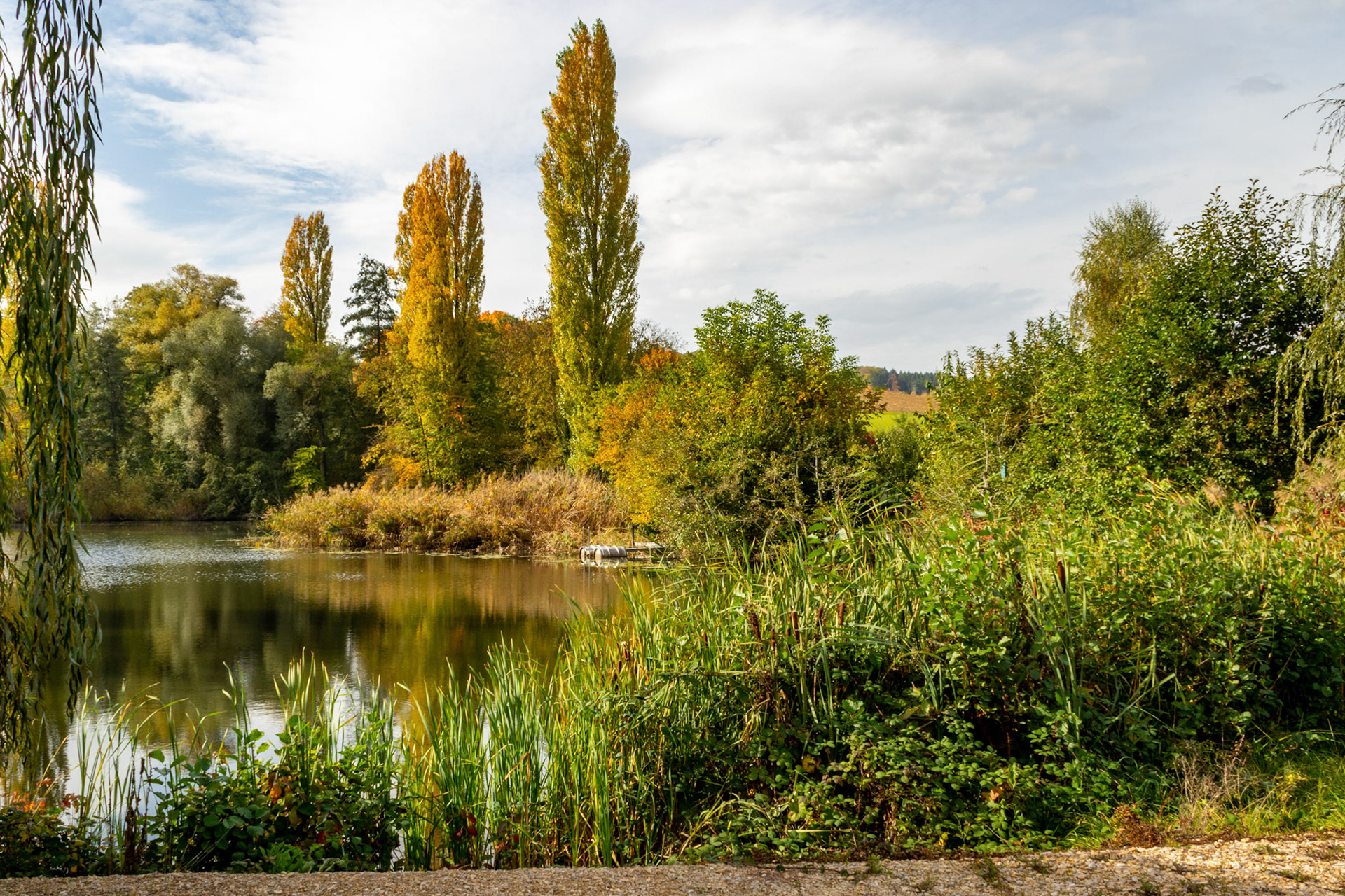 Ziegeleiweiher