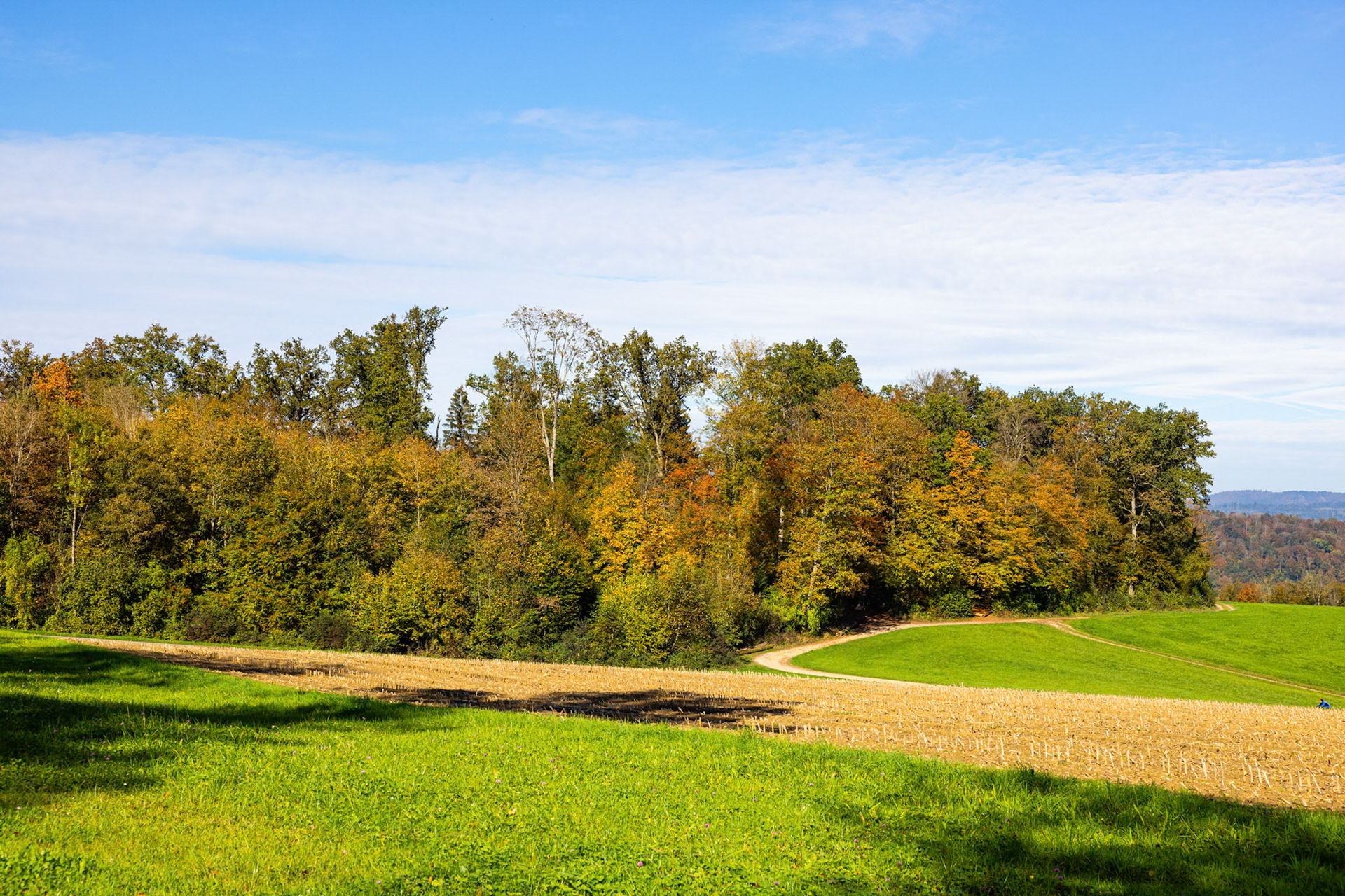 Herbstbilder