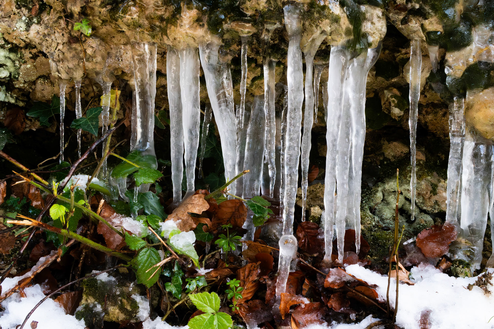Eiszapfen im Hau