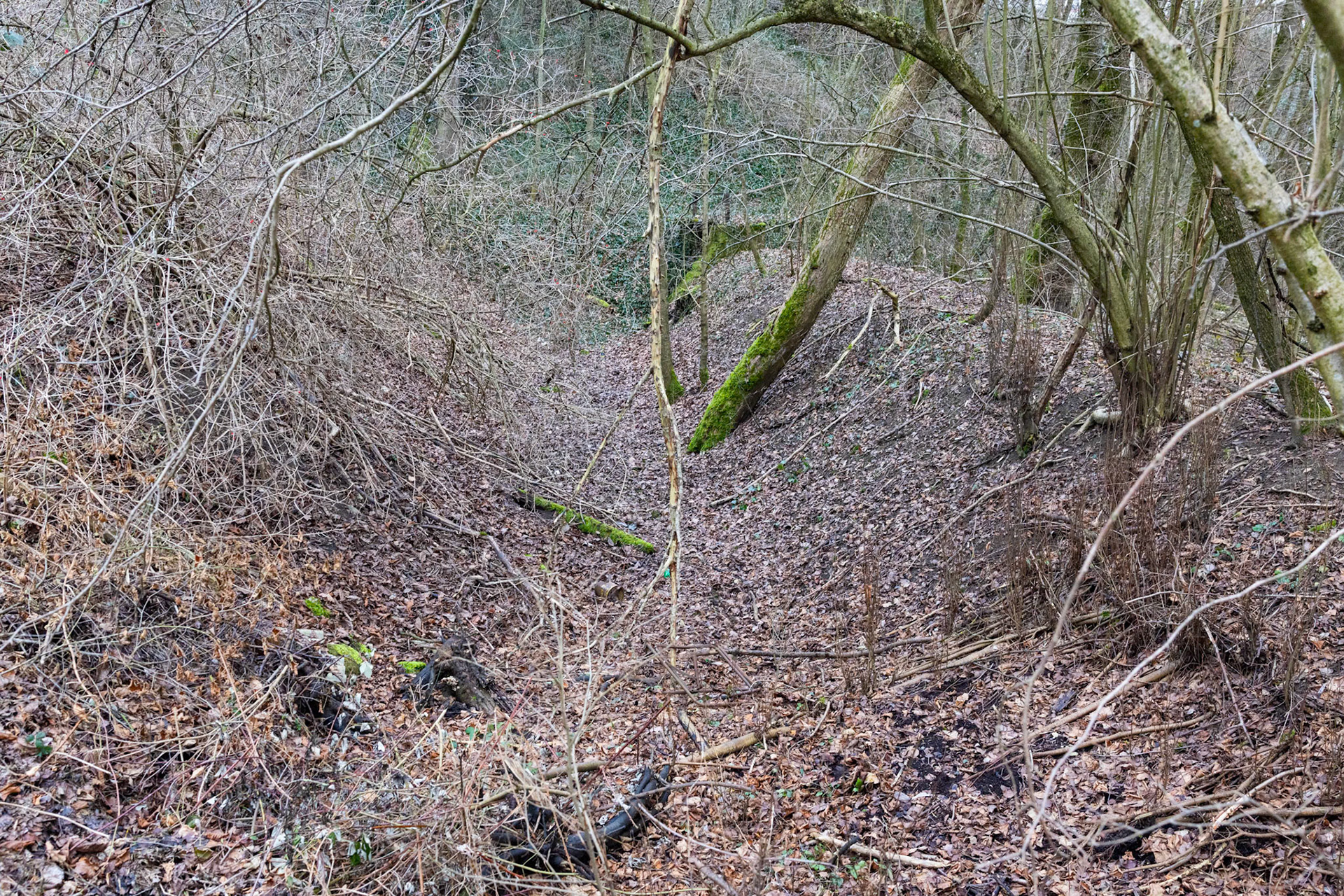 Mühlebachkanal Überreste