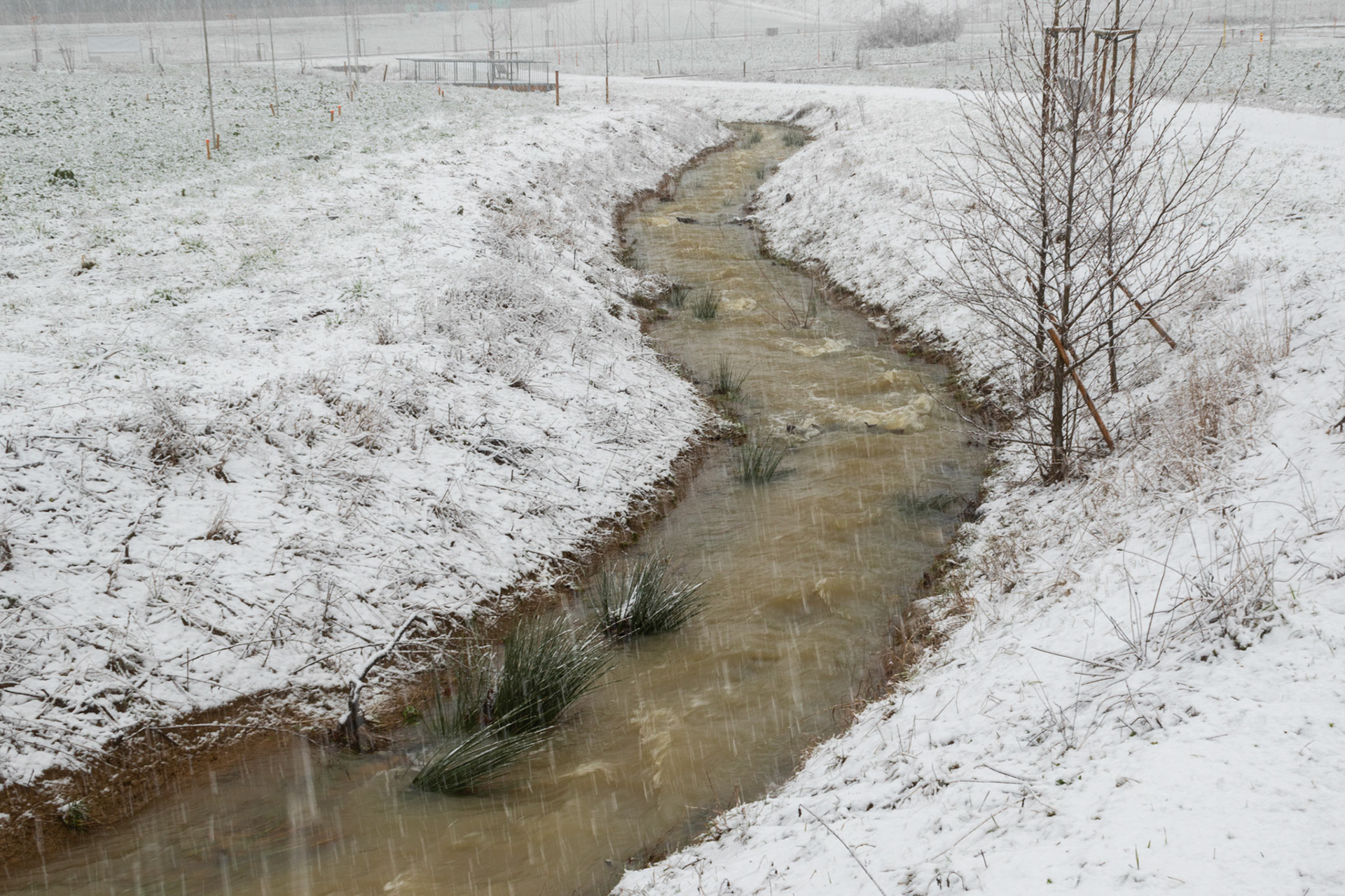 Hochwasser Lammetbächlein