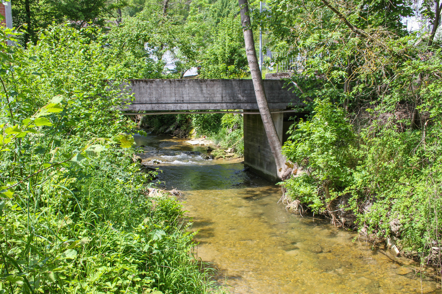 Brücke Neumühle