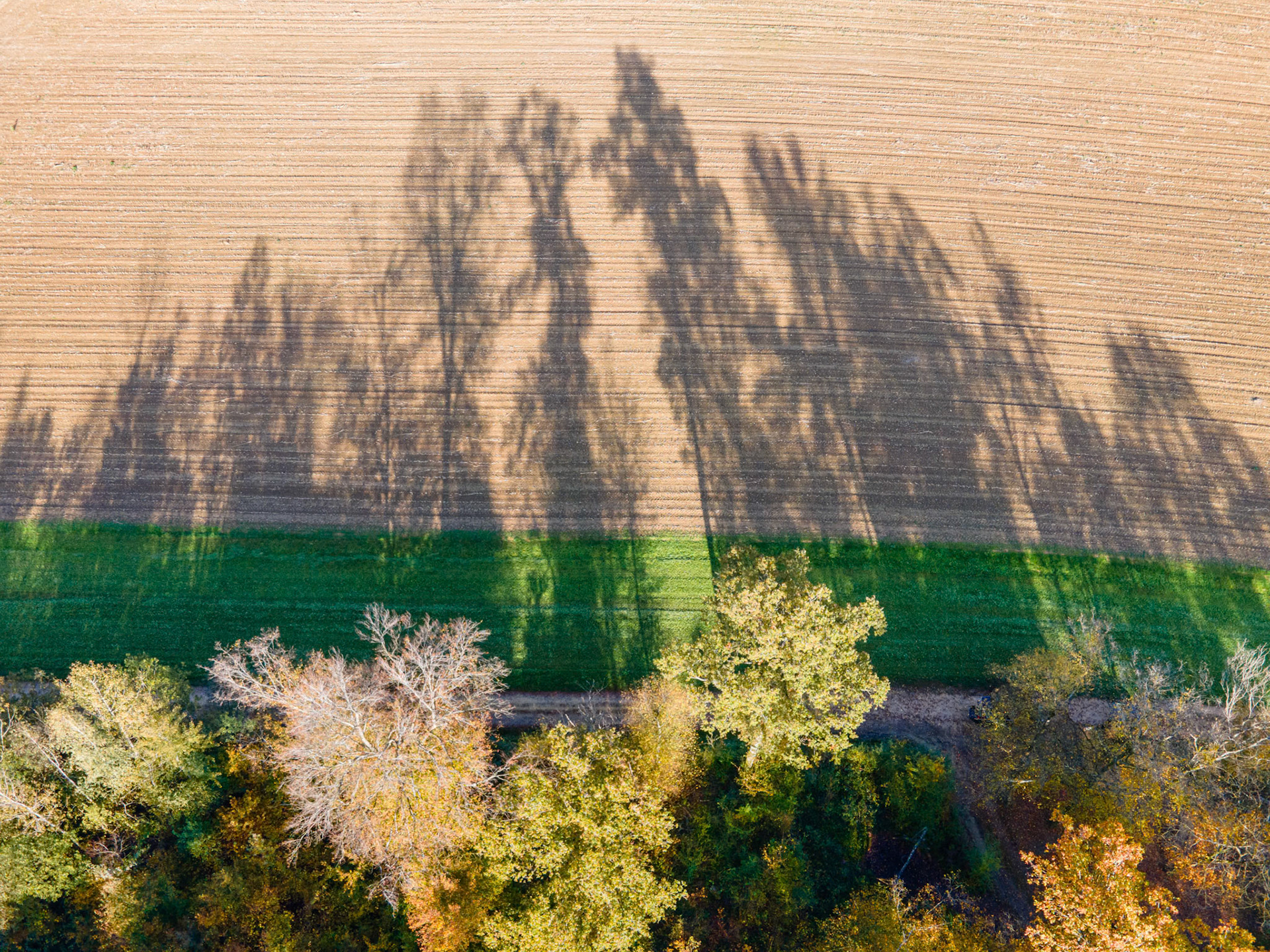 Herbstbilder mit der Drohne