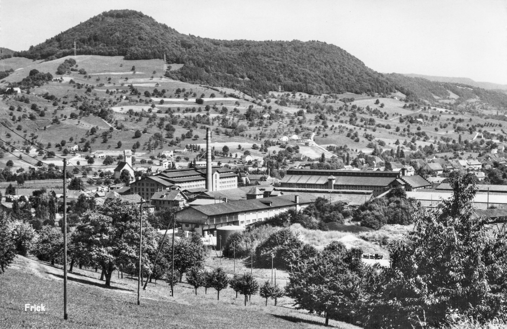 1959 Ziegelei mit Frickberg