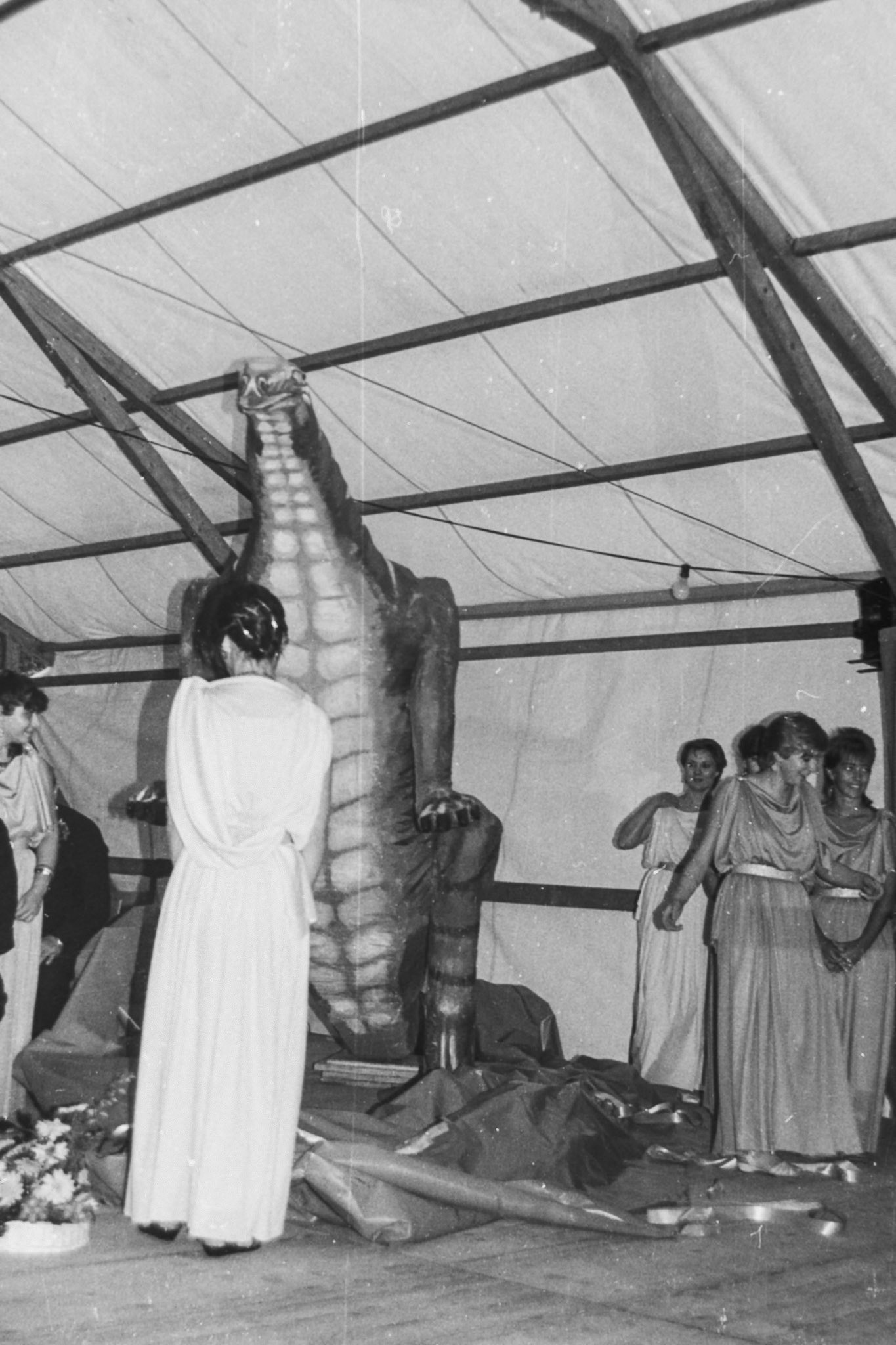 Saurierfest 1985