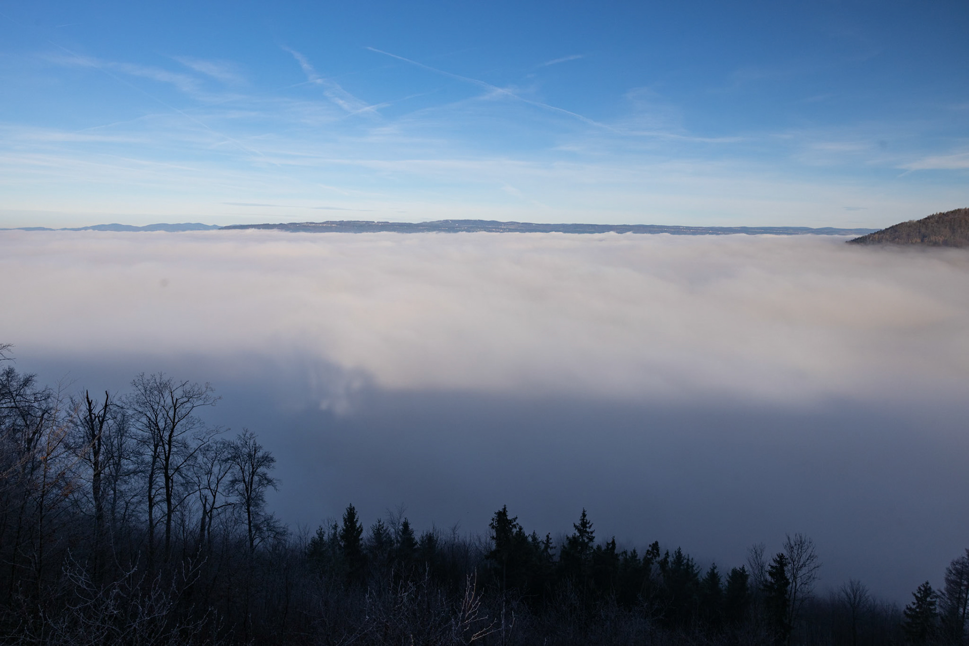 Nebelmeer über Frick
