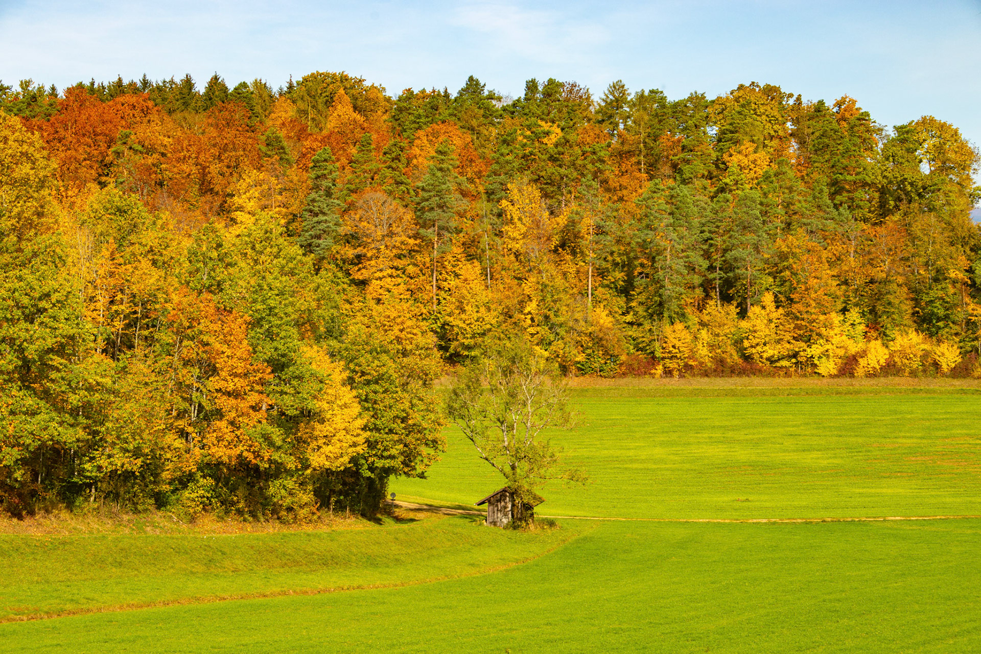 Herbstwald Ritzlete