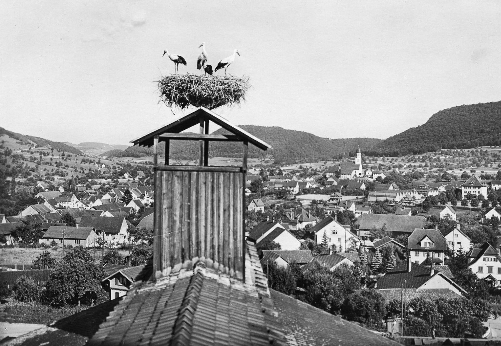 Storchennest auf Dach der Ziegelei 1946