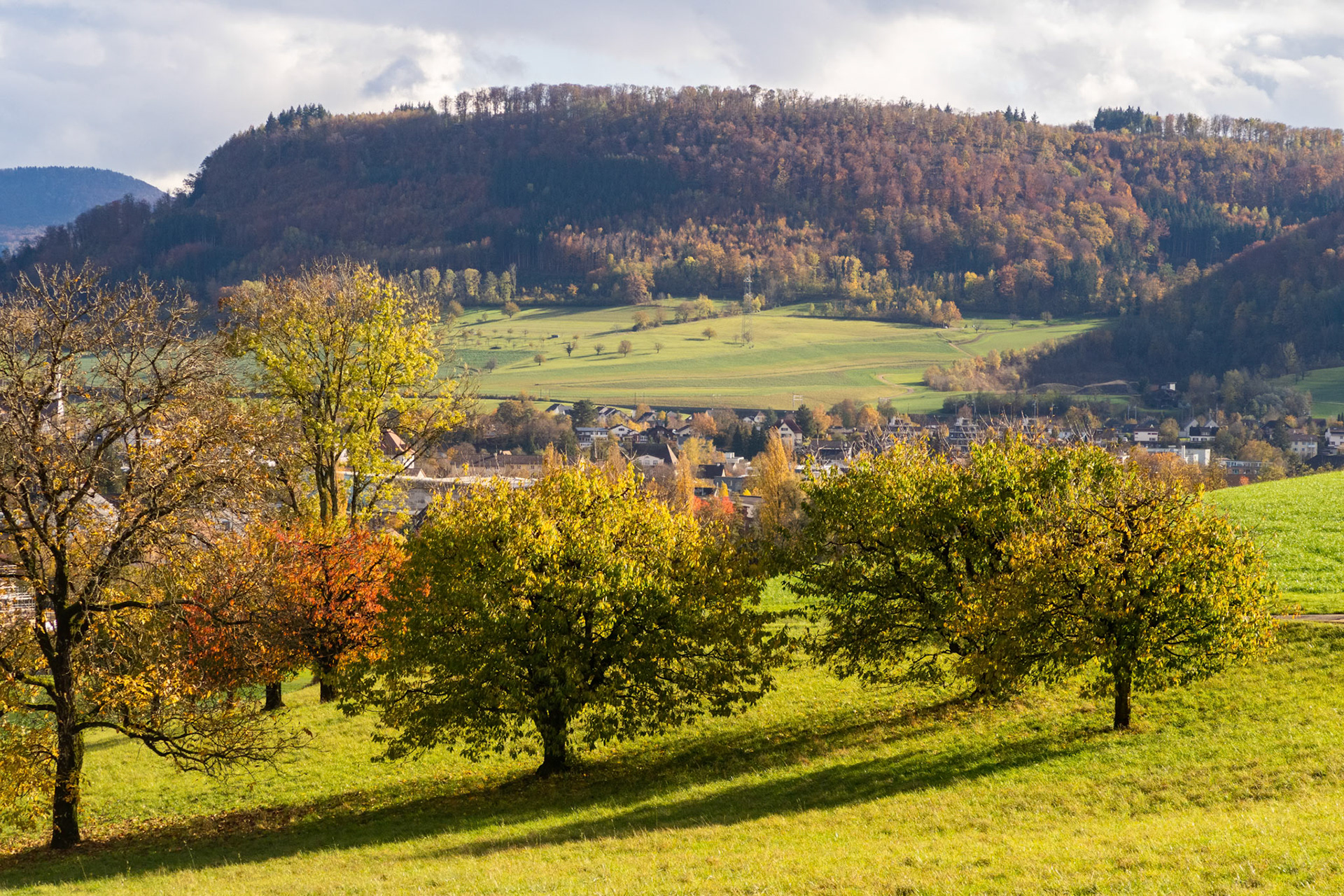 Kornberg vom Leischberg