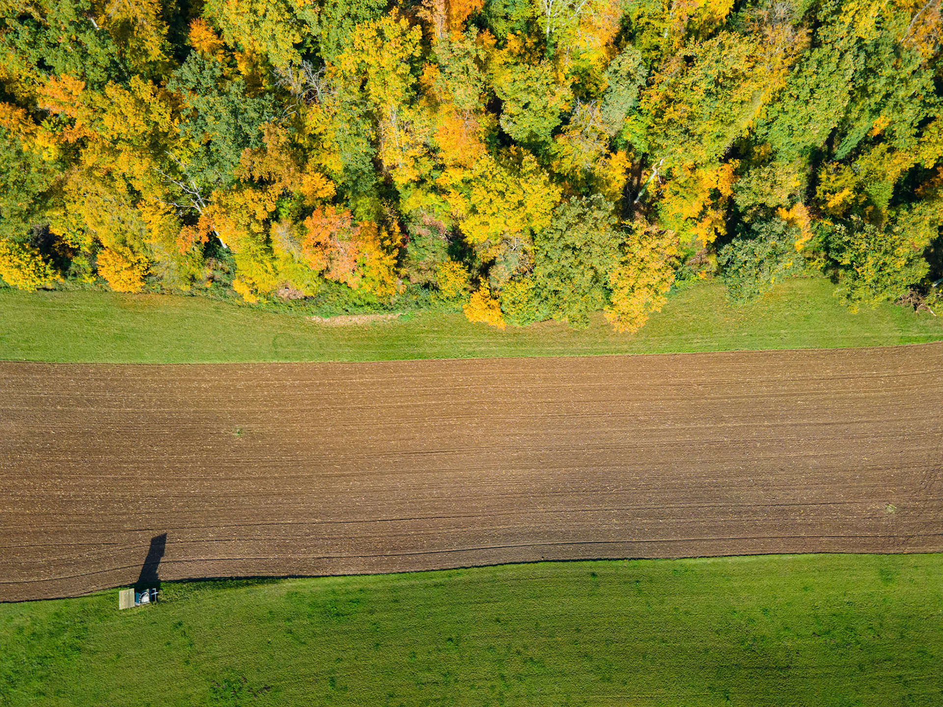 Herbstwald Bleik