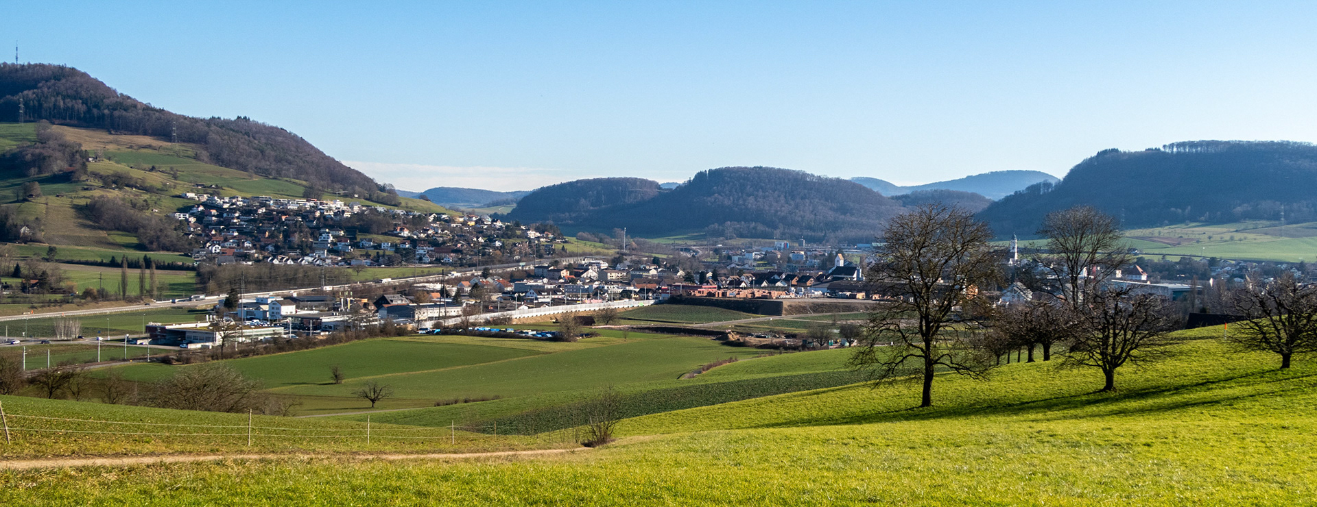 Panorama