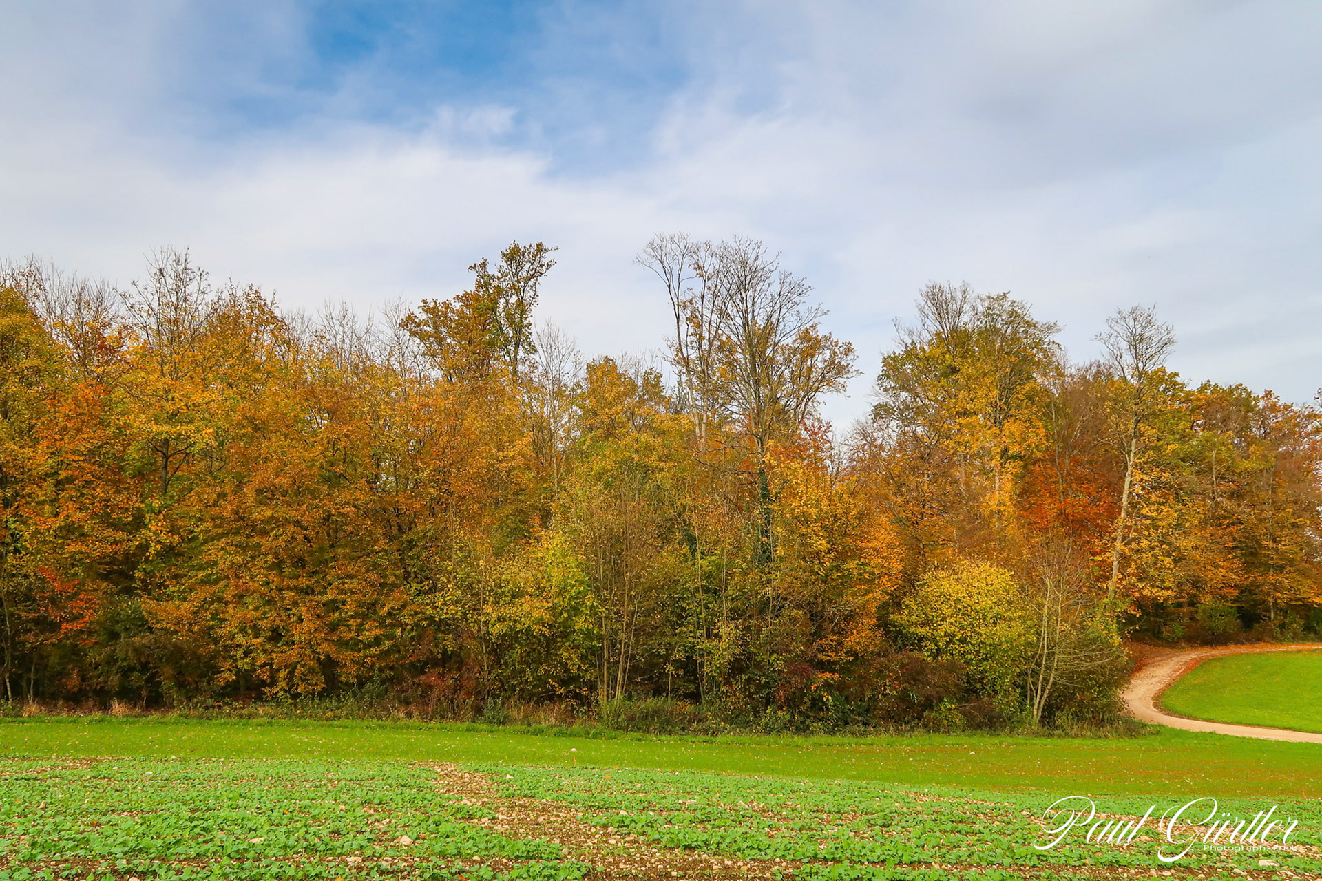 Herbstwald