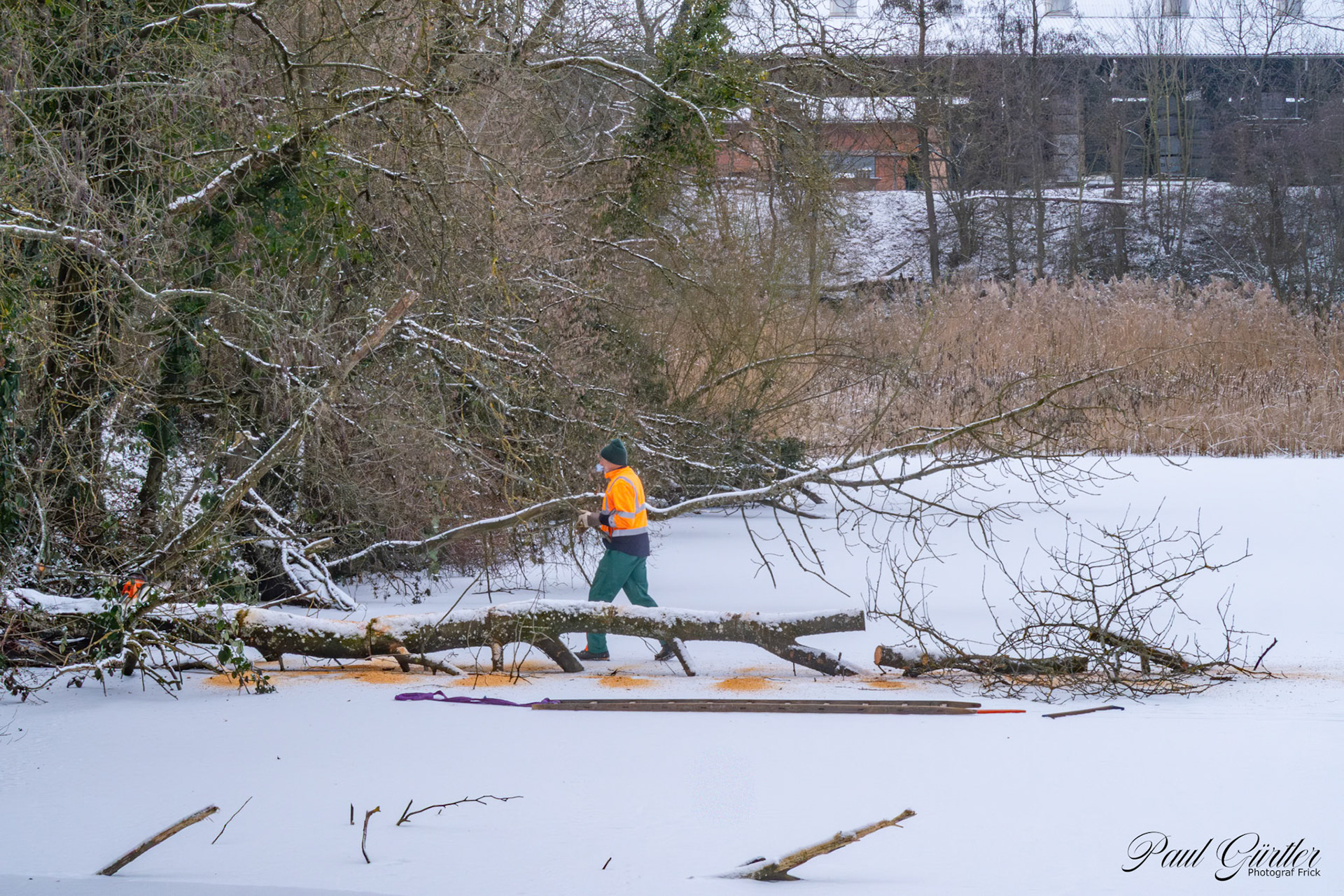 Ziegeleiweiher gefroren