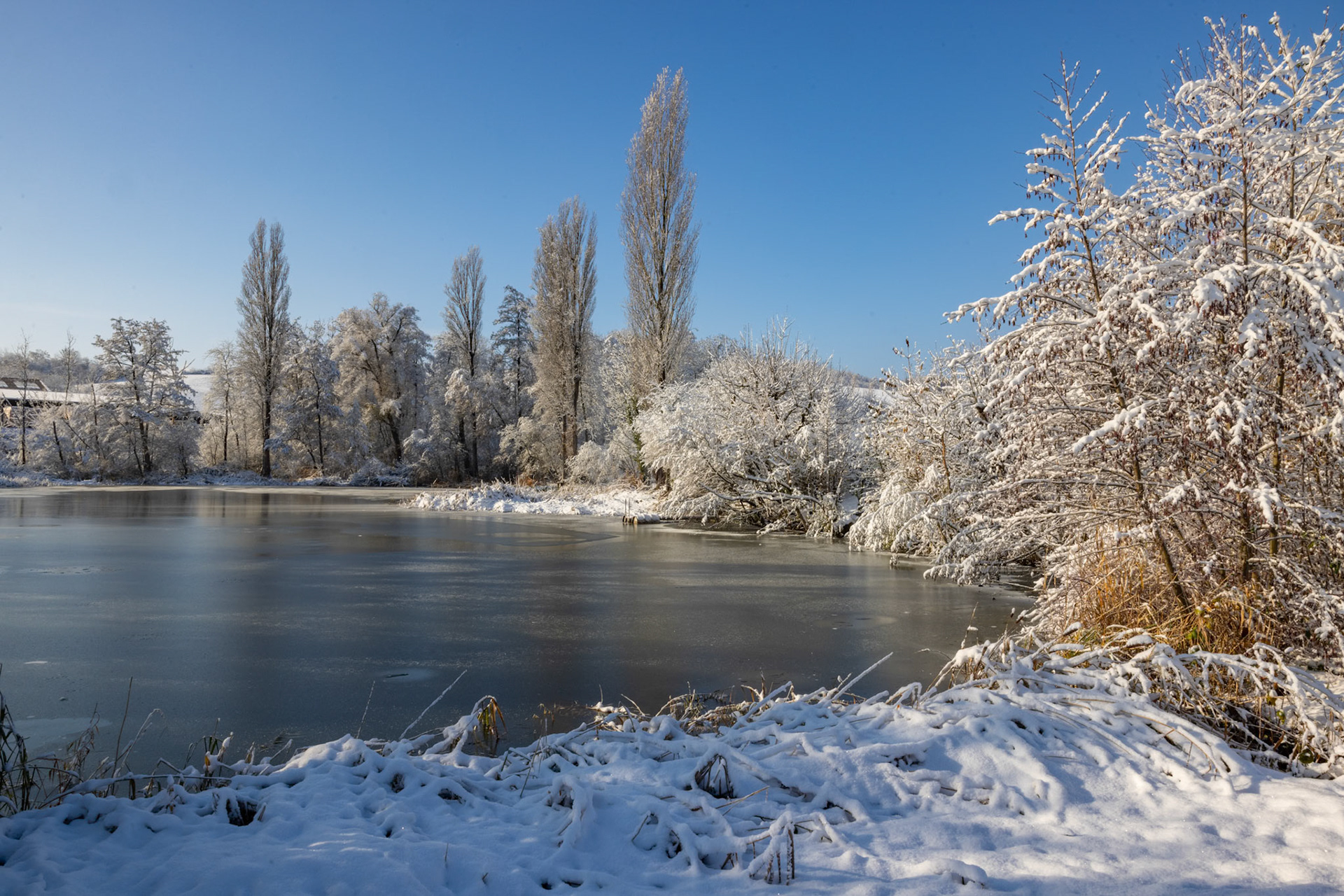 Ziegeleiweiher im Schnee