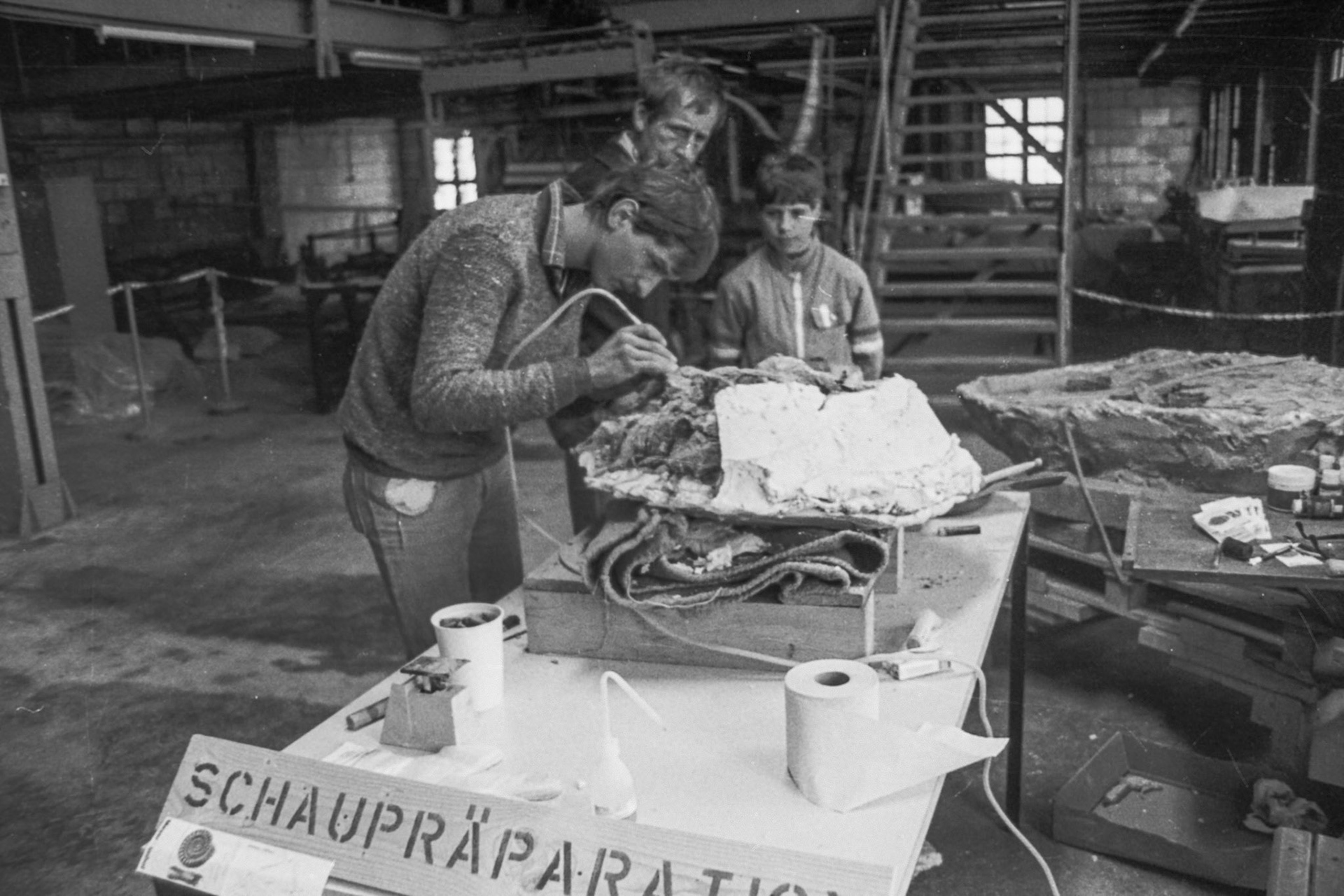 Saurierfest 1985