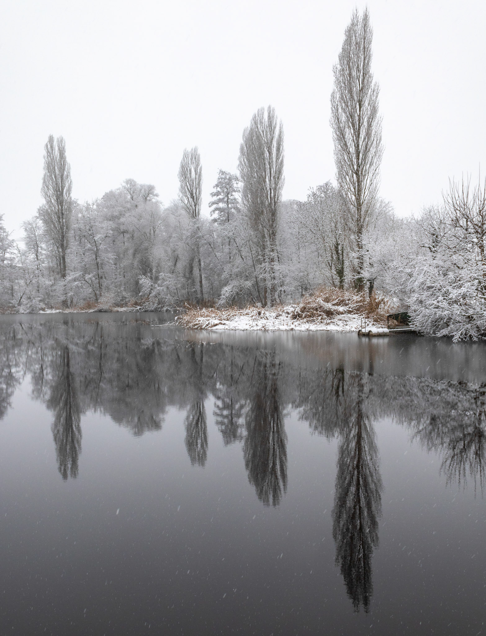 Winter am Ziegeleiweiher