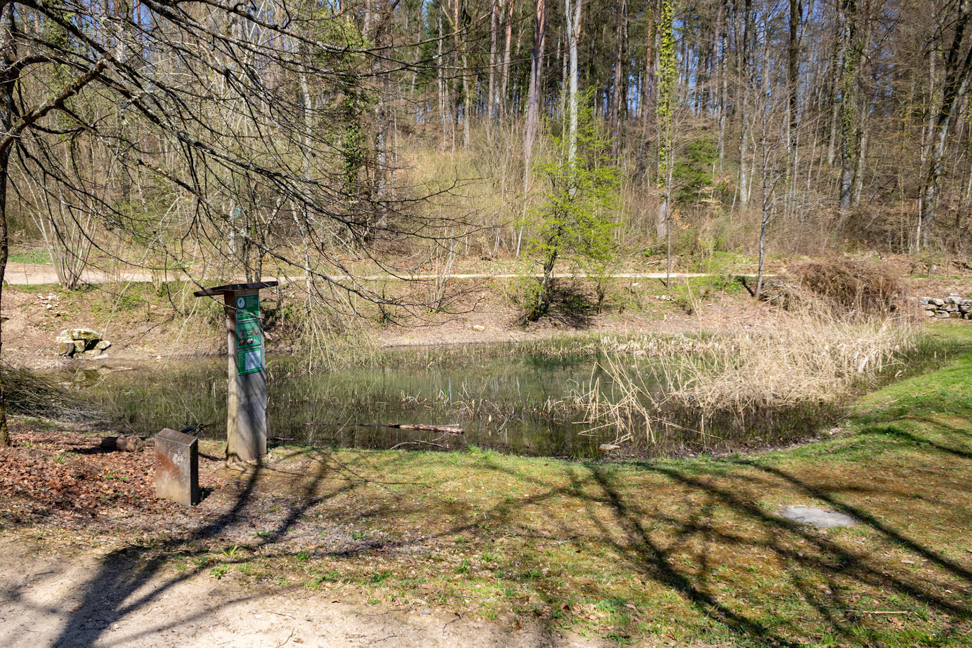Ritzleteweiher