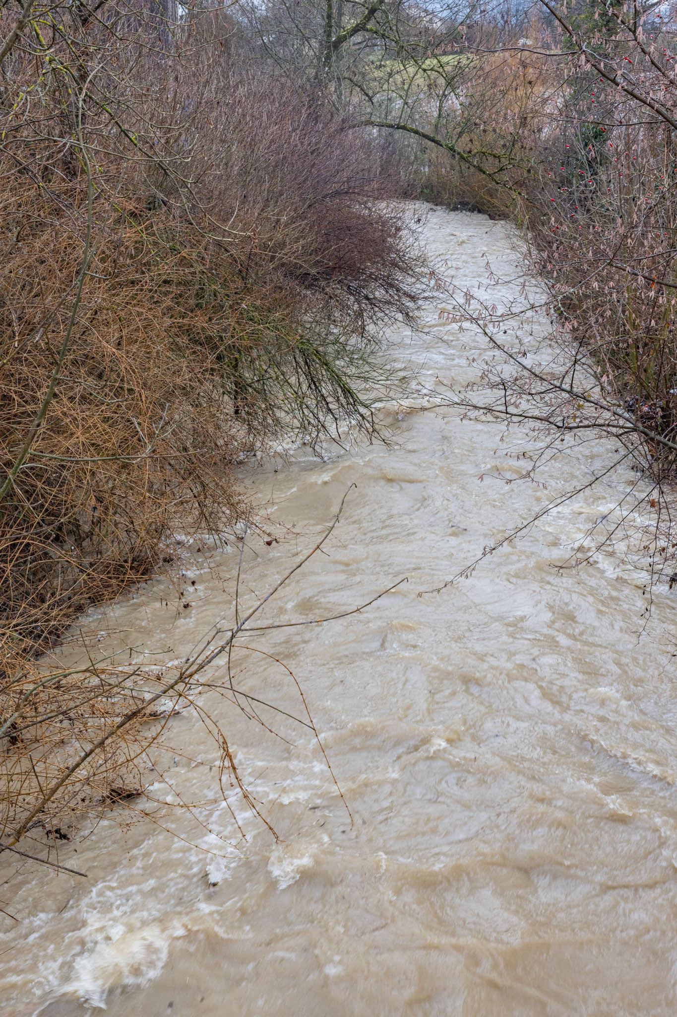 Hochwasser