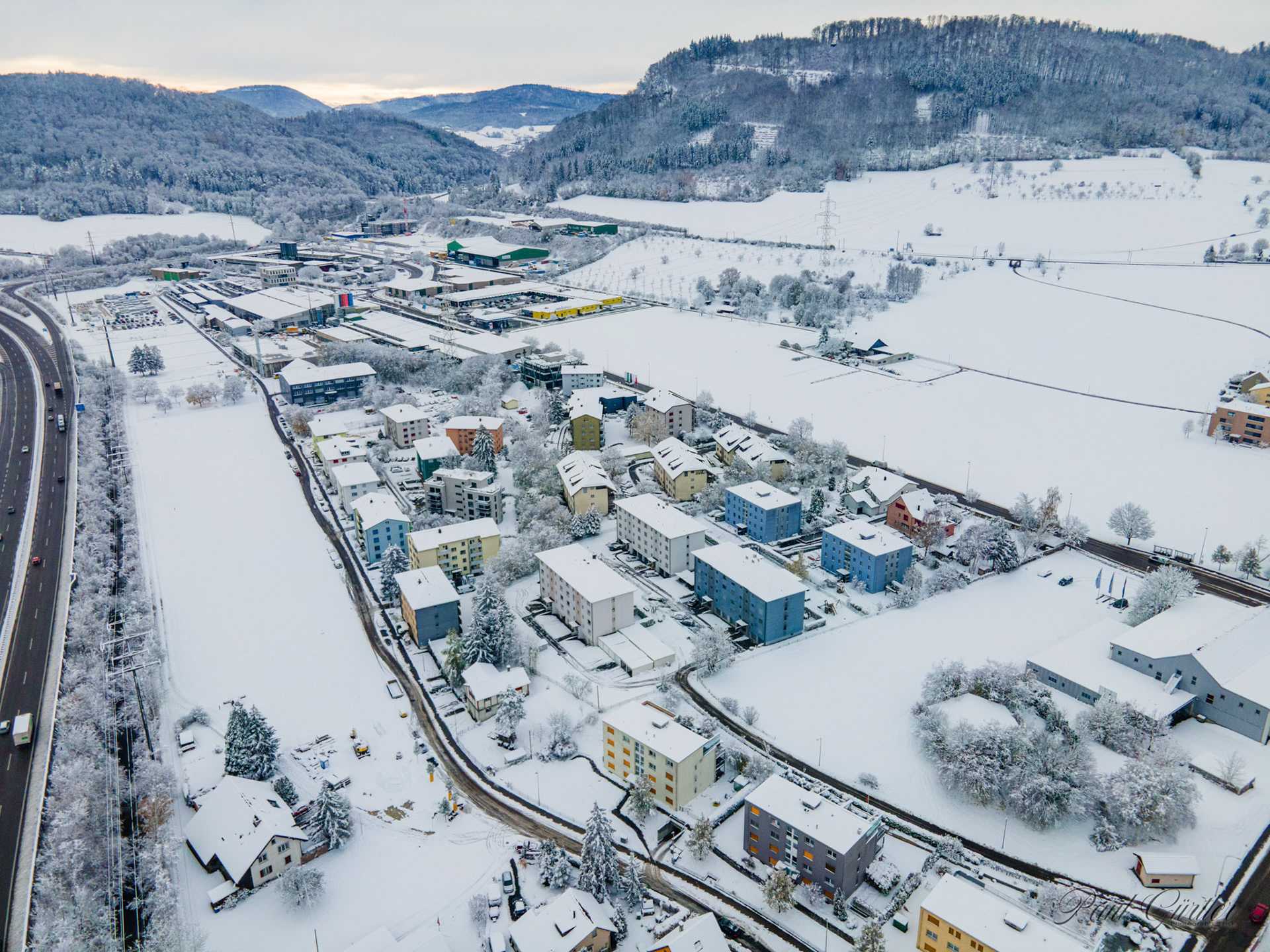 Stieracher im Schnee