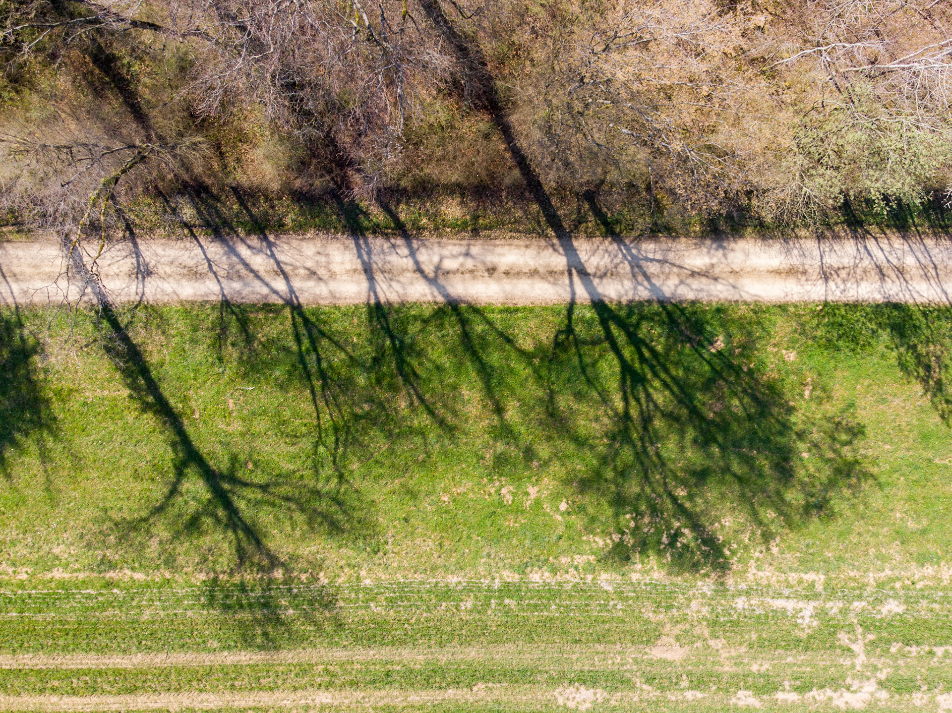 Waldrand