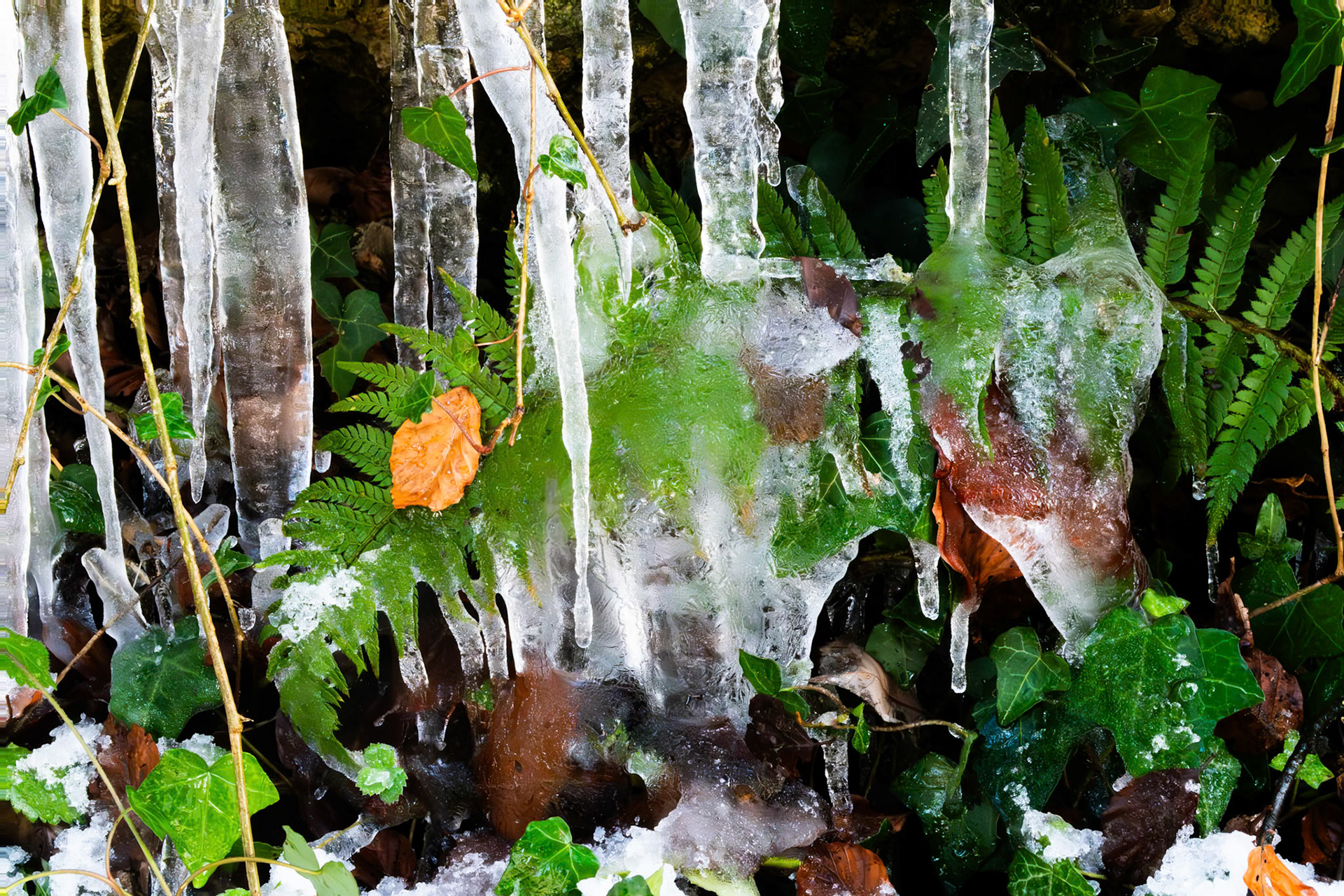 Eiszapfen im Hau
