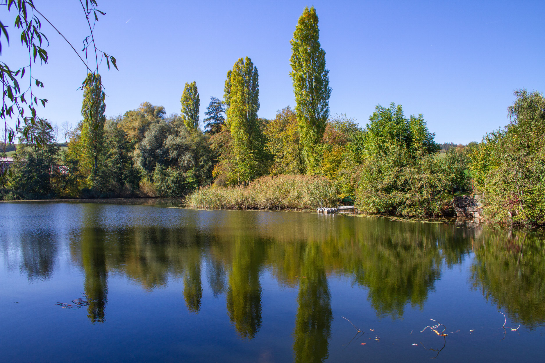Ziegeleiweiher