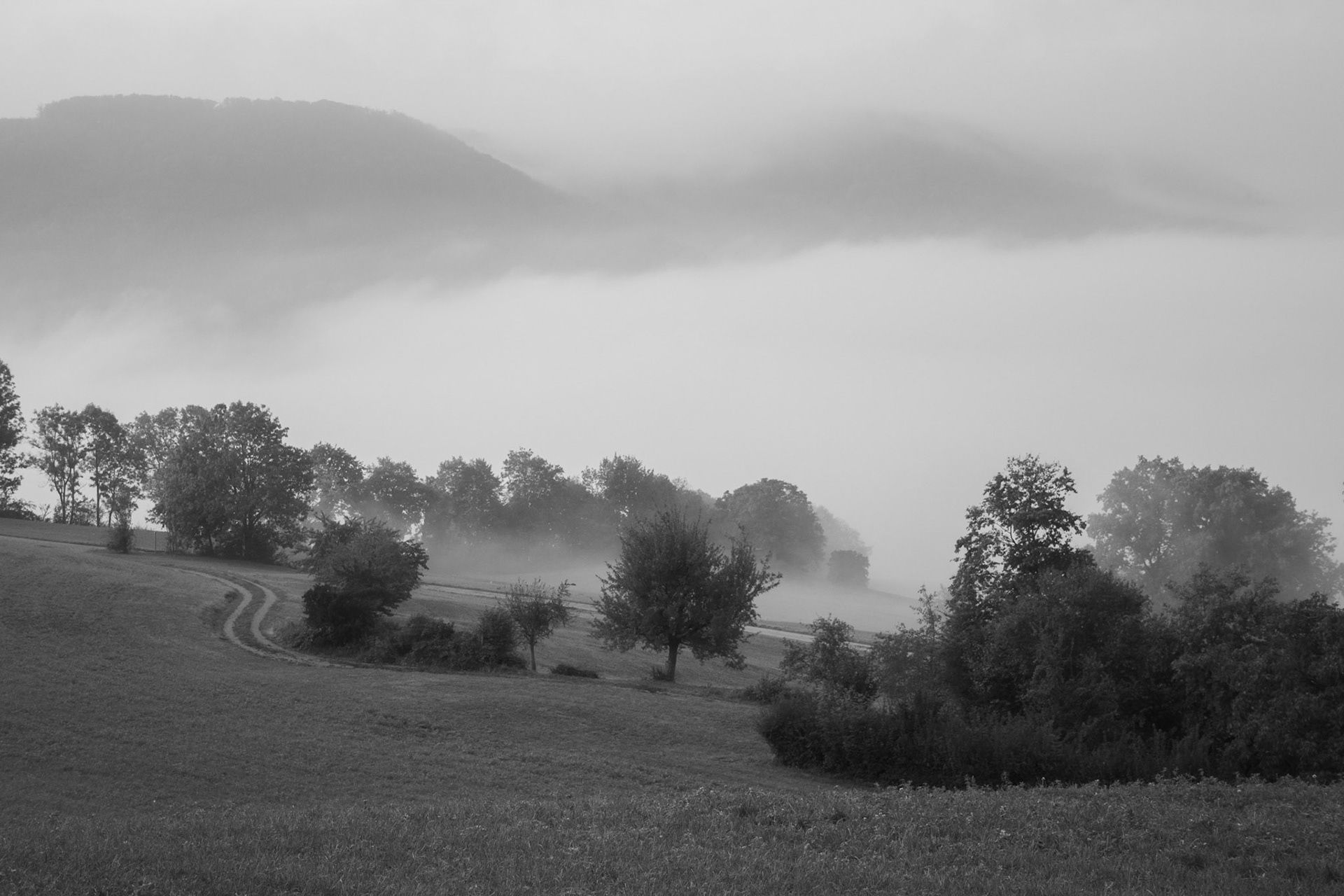 Nebel über Frick