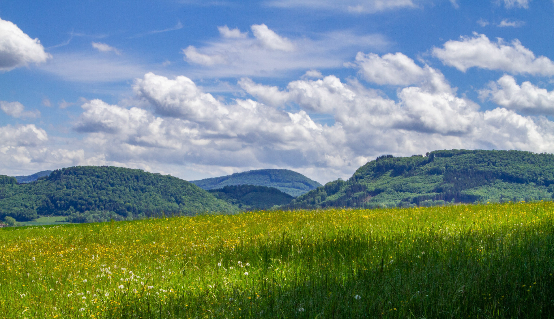 Landschaft vom Leischberg