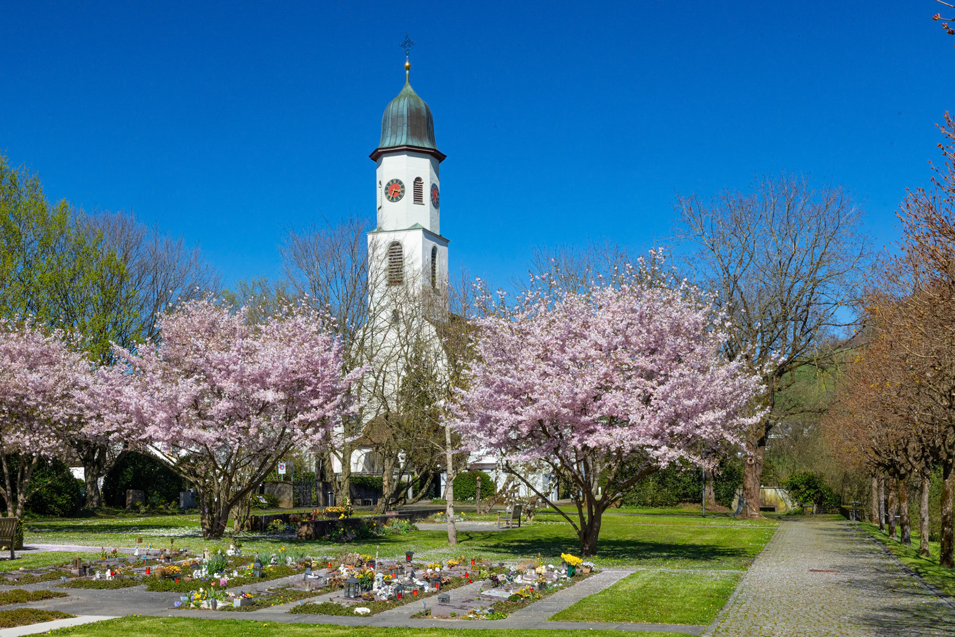 kath. Kirche mit blühenden Bäumen
