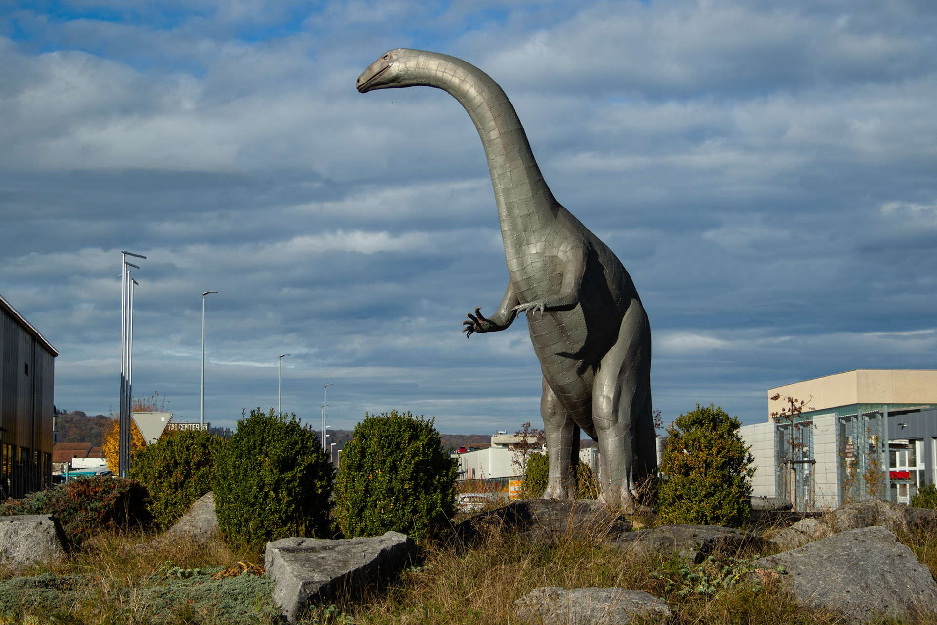 Dinokreisel