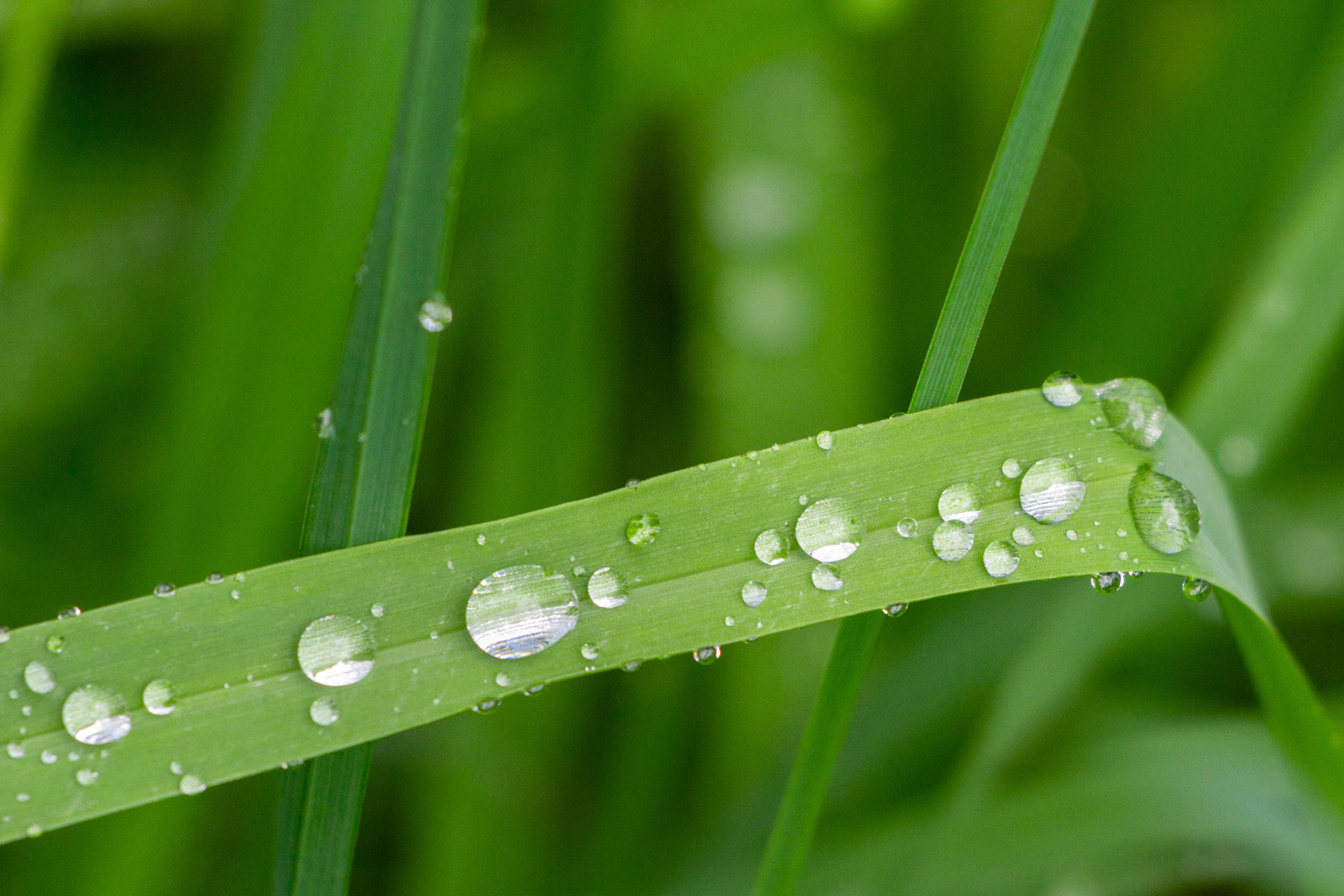 Nach dem Regen