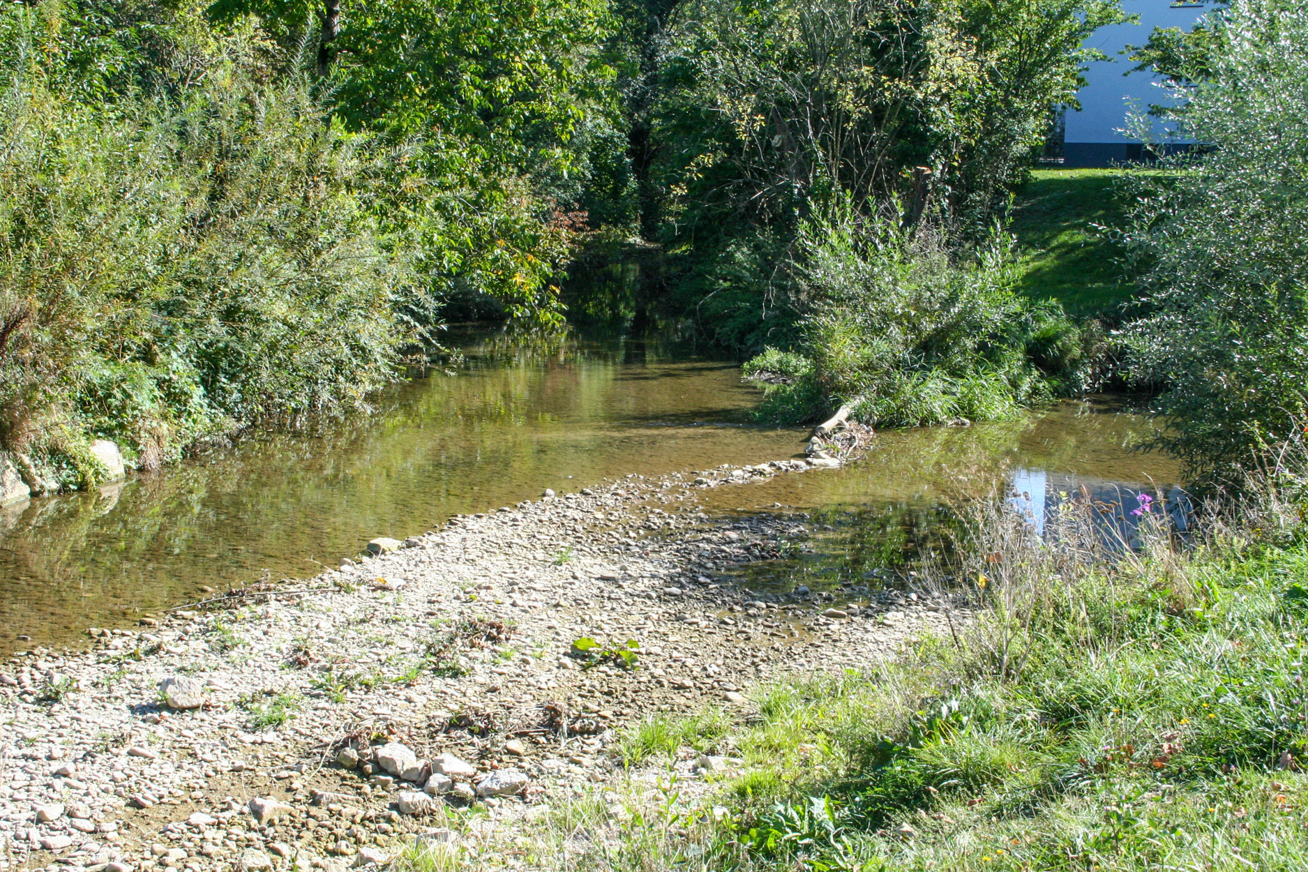 Sisslebach und Bruggbach