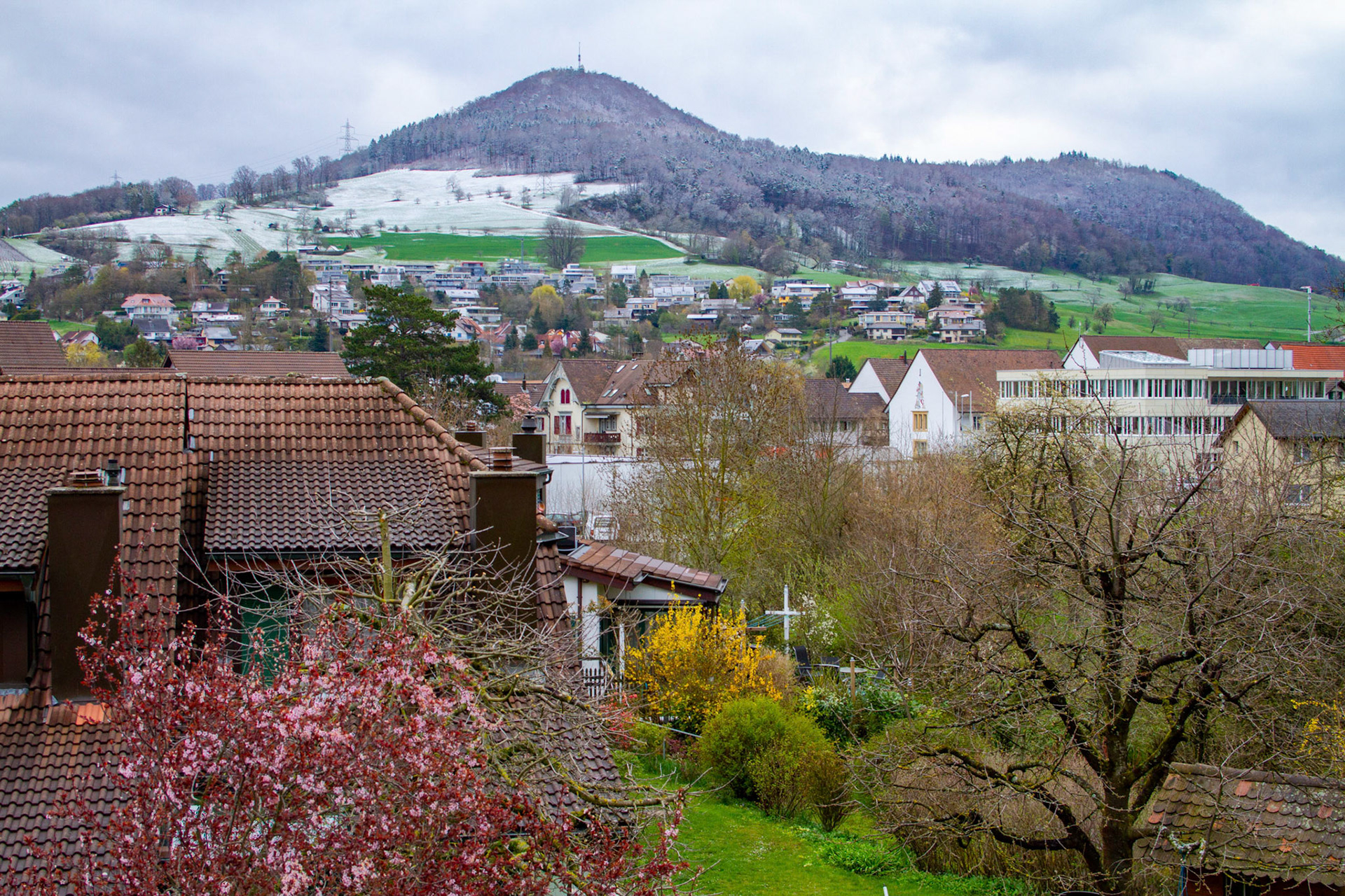 ein Schäumchen Schnee