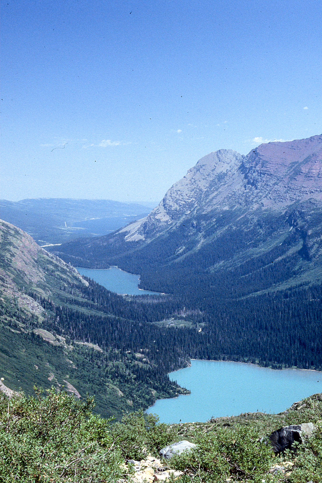 Looking back on Grinnell Lake