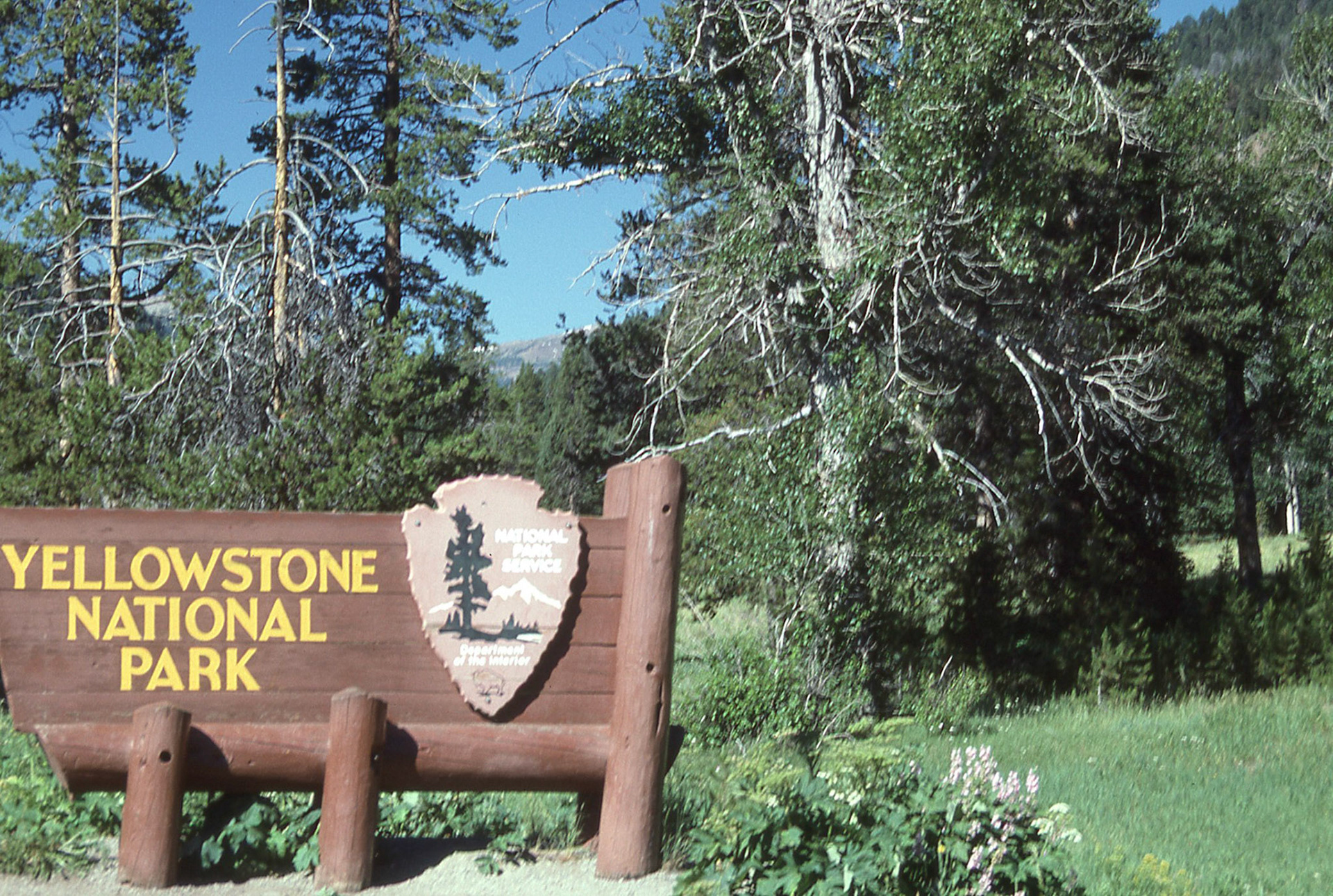 Entry to Yellowstone Park