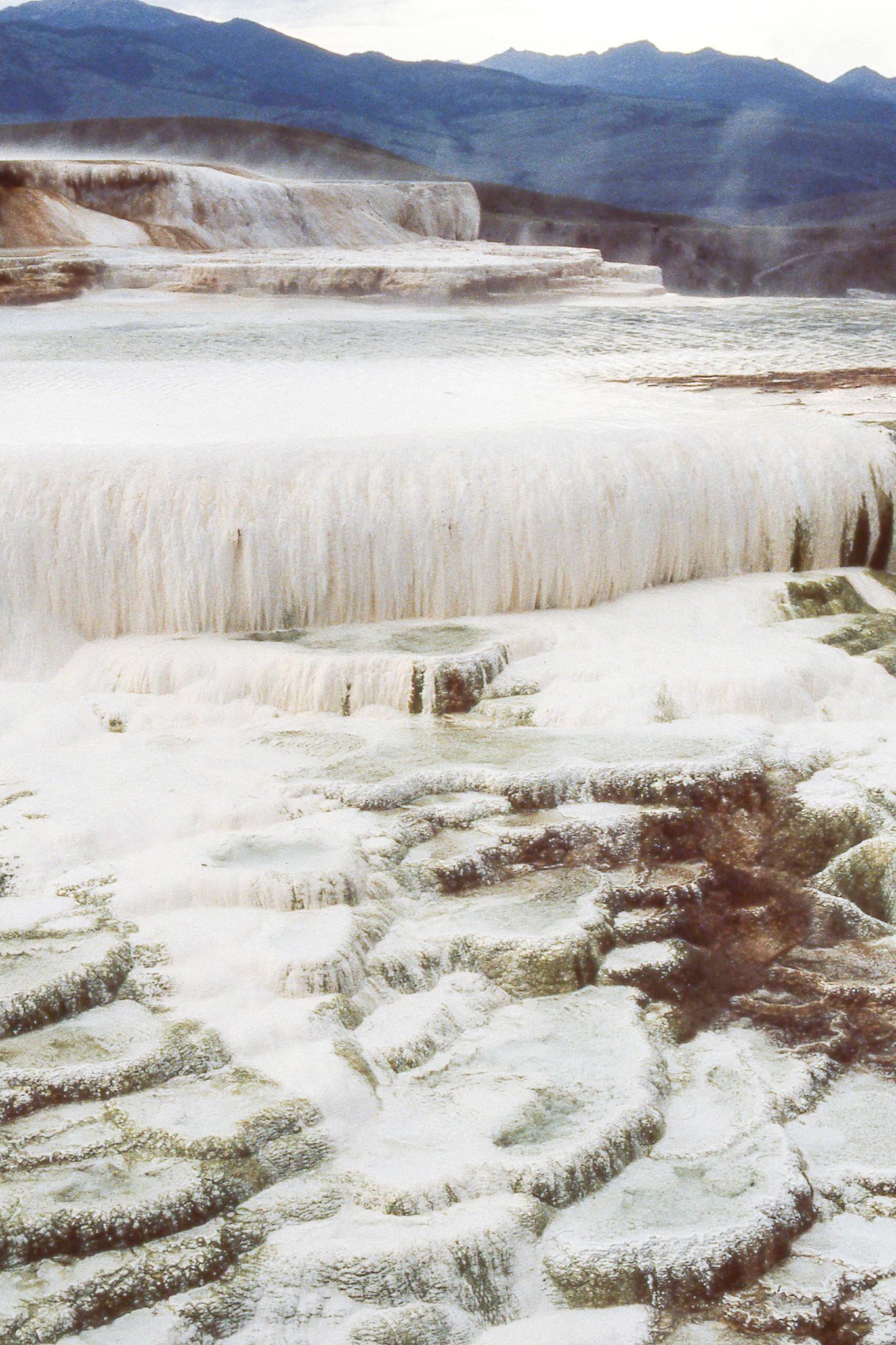 Mammoth Hot Springs at Yellowstone Park