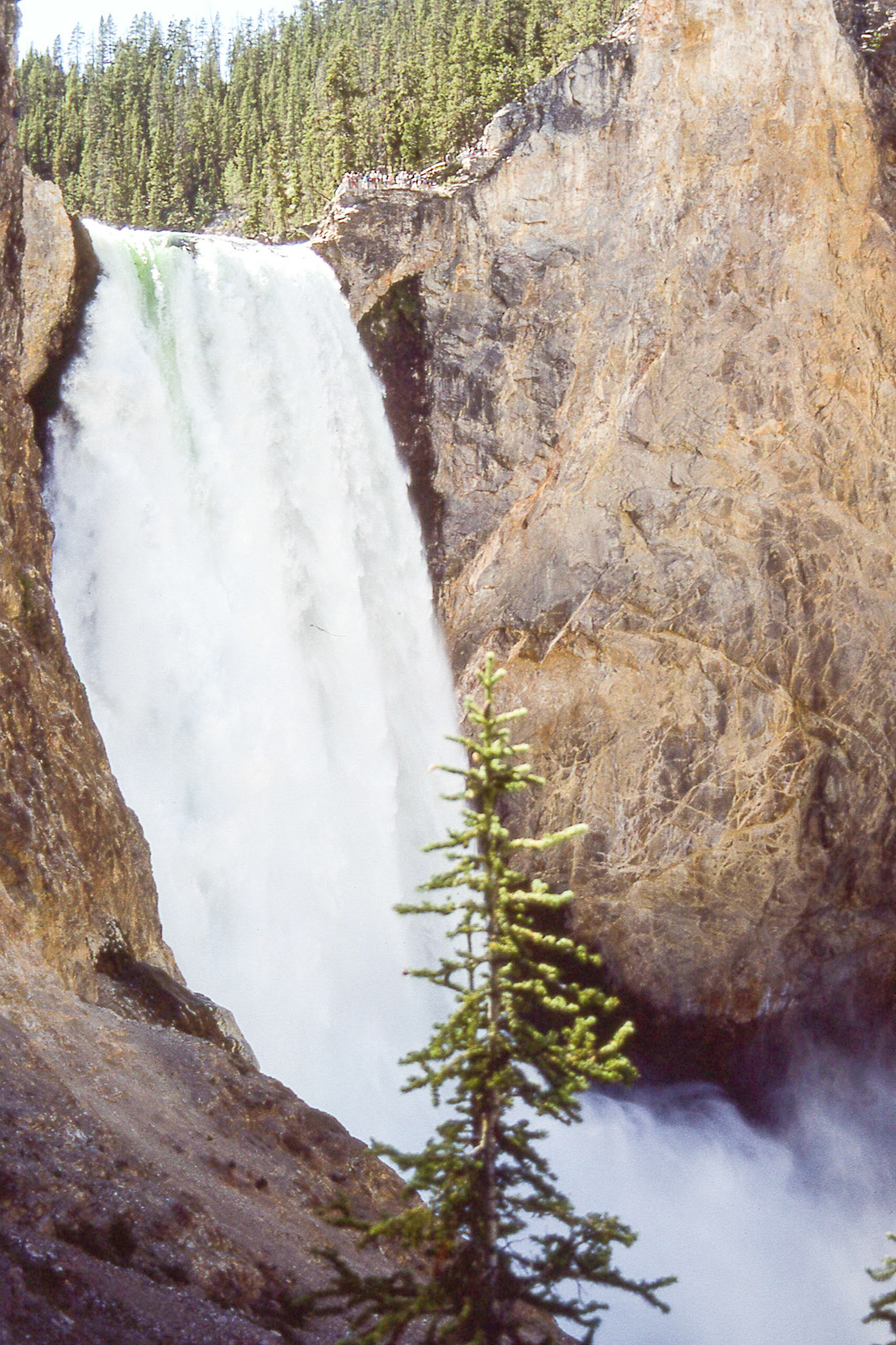 Upper Yellowstone Falls closeup